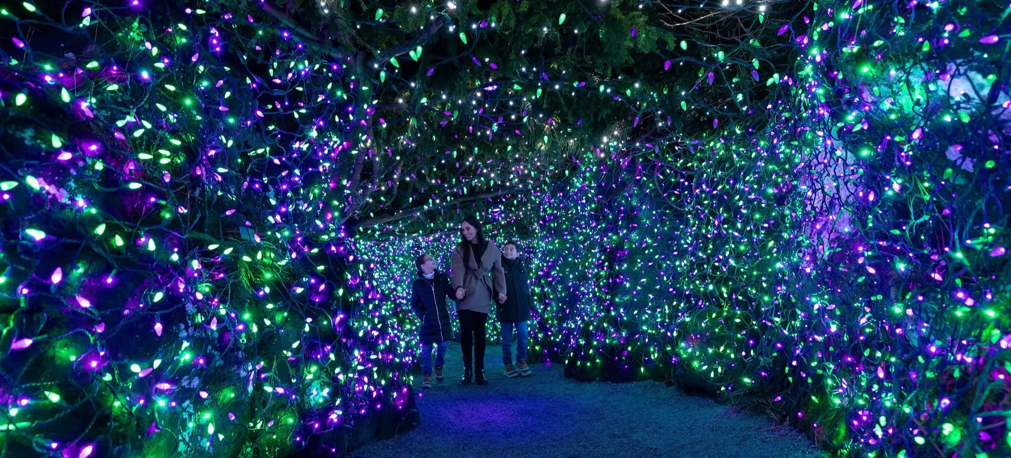 w-2048h-1365-69b134-COV-VanDusen-FOL-2024-1170