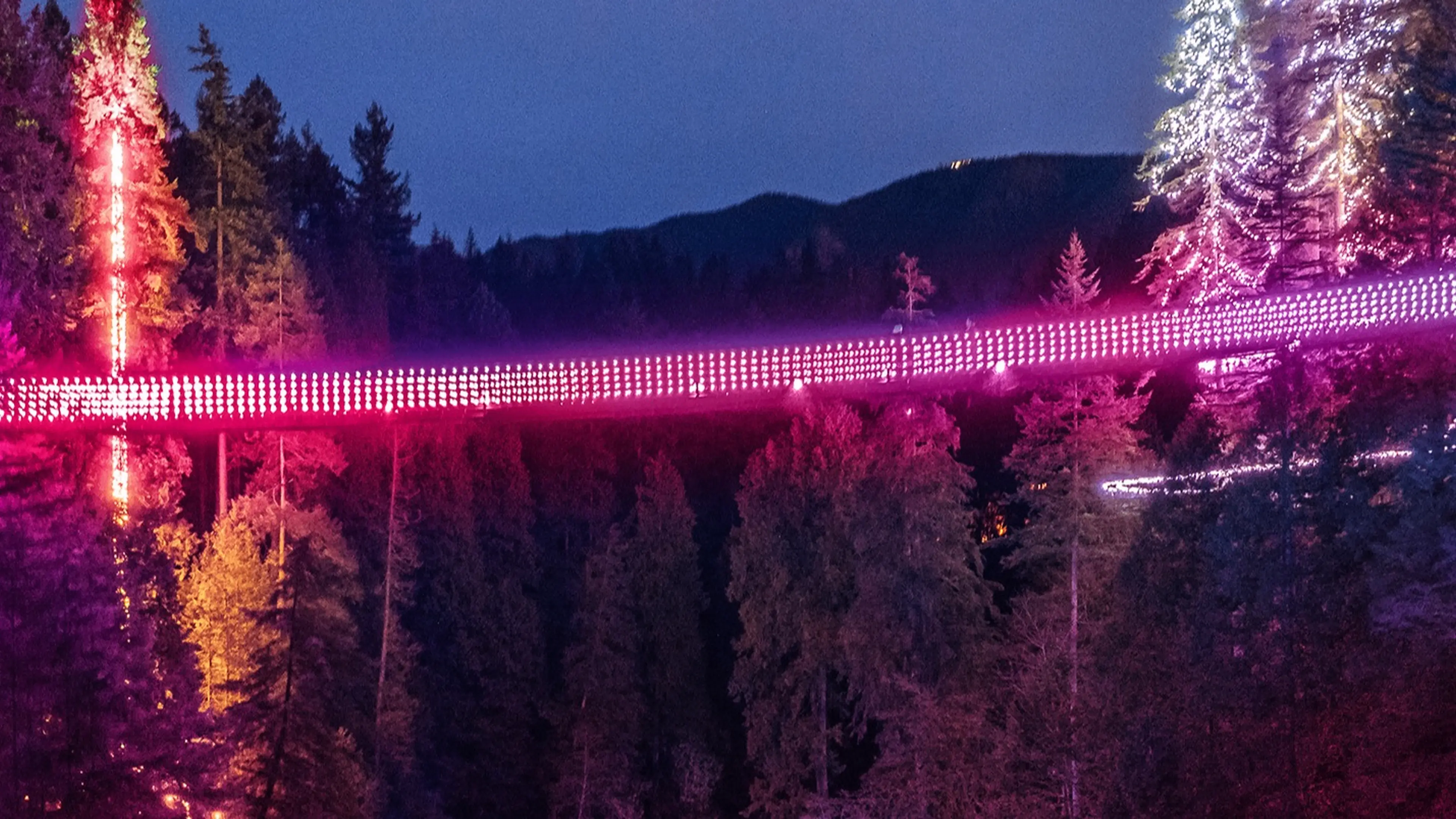 w-1429h-804-c4d142-Love Lights Aerial Bridge (expanded)