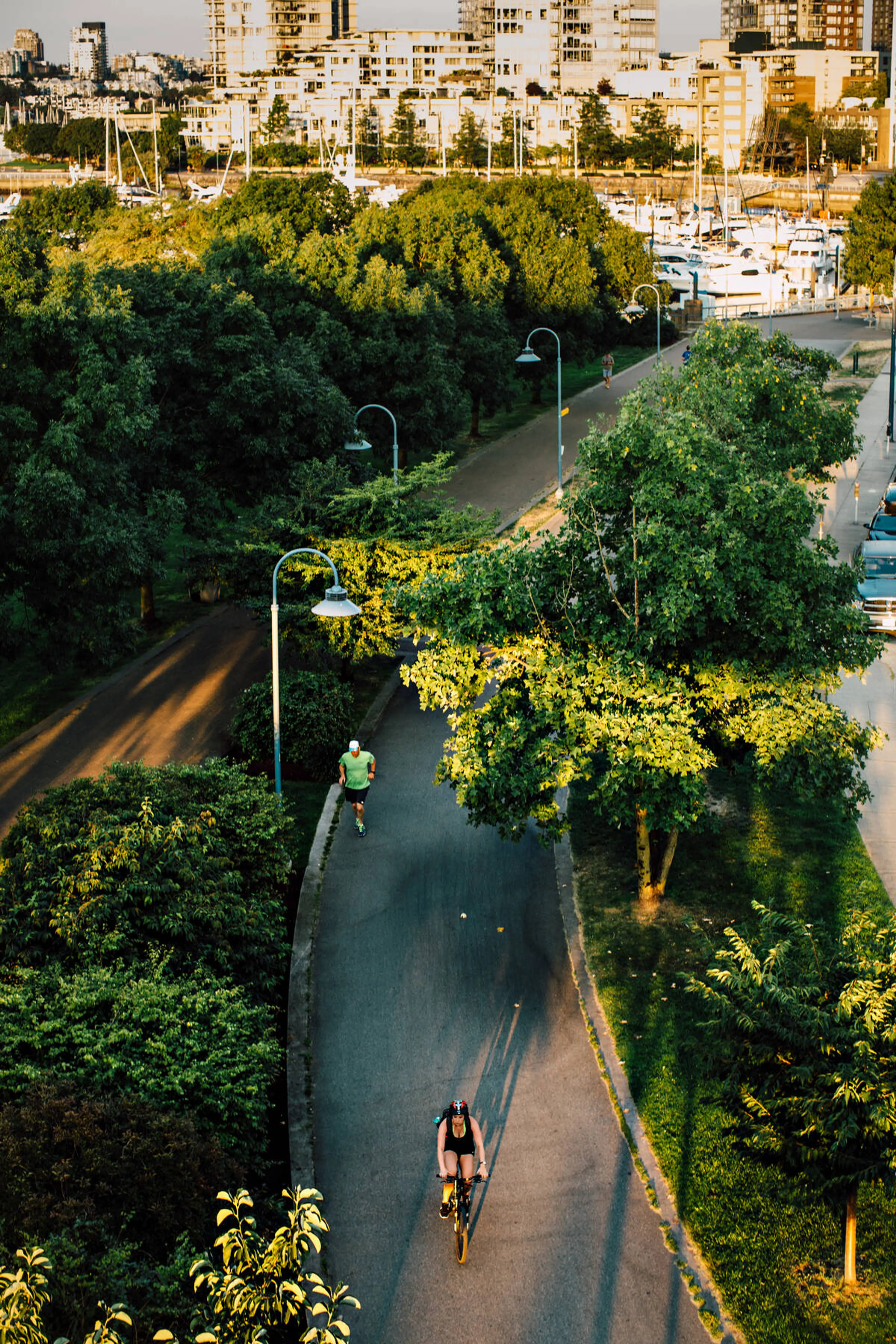 Cyclists on the seawall