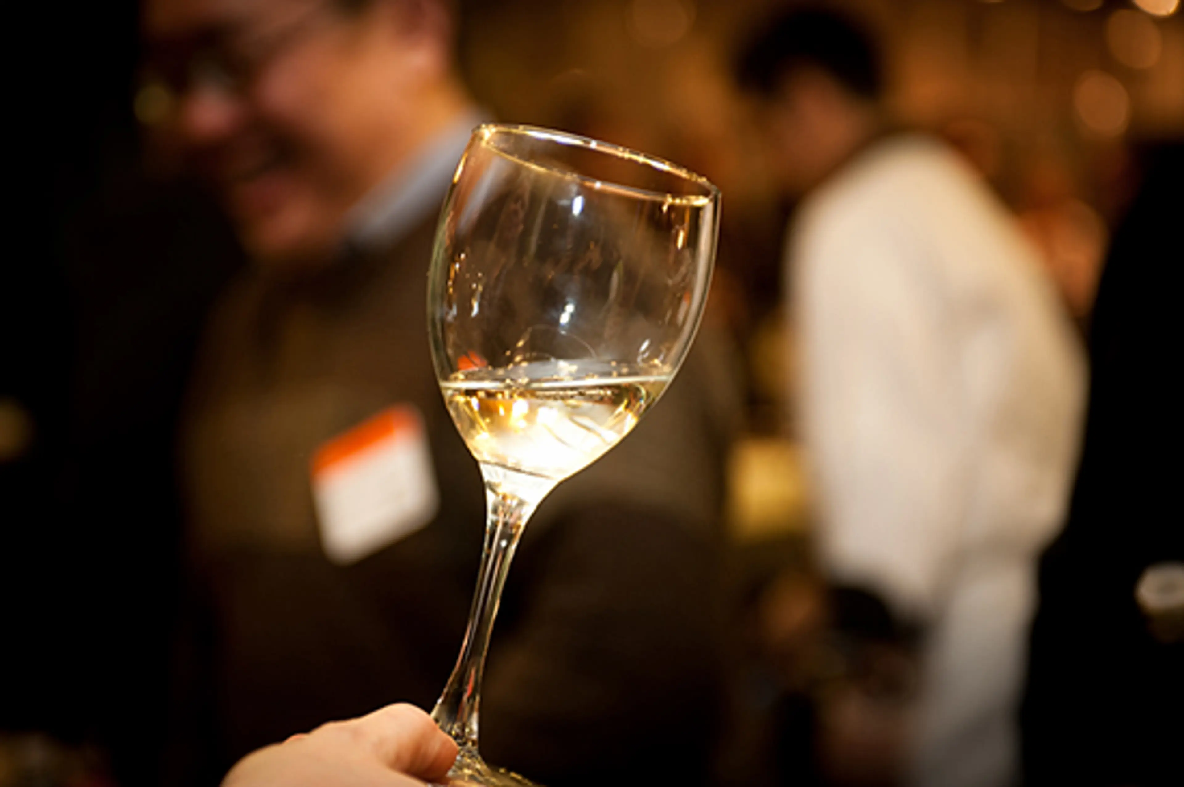Vancouver International Wine Festival photo: Rob Gilbert