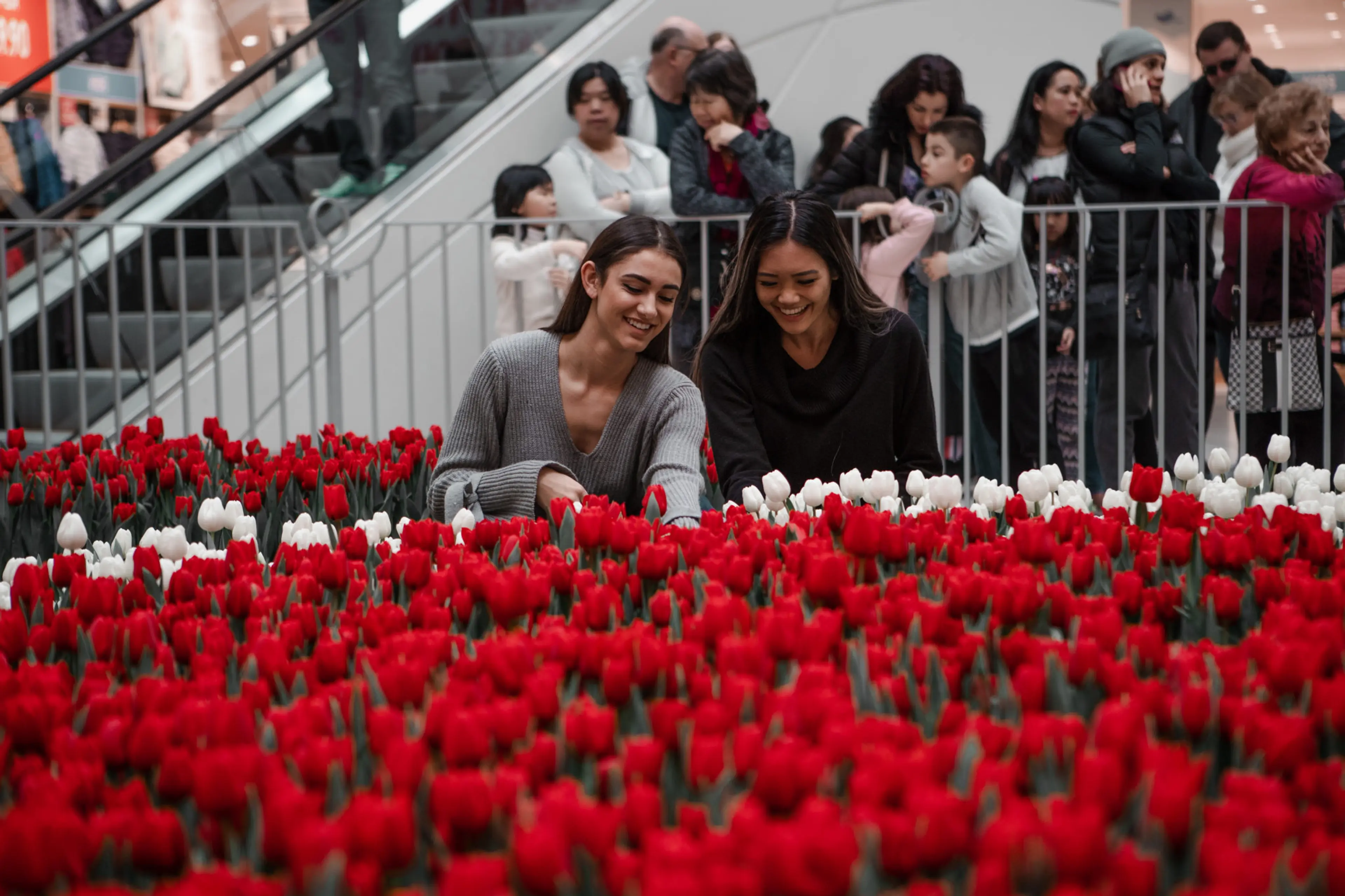 Spring Comes Early to Metropolis at Metrotown