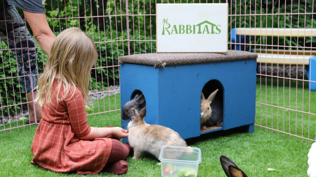 w-1024h-576-753edf-Rabbitats-163-scaled