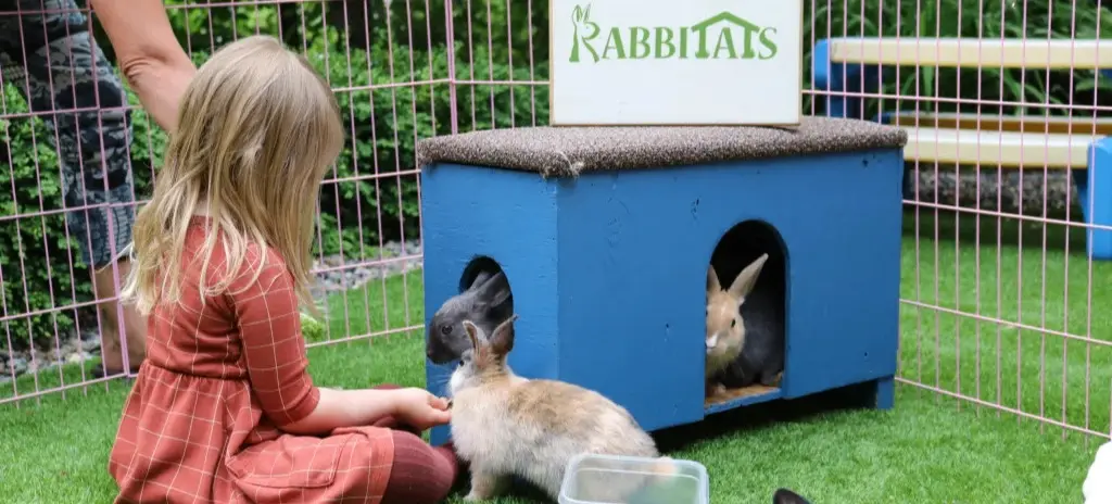 w-1024h-576-753edf-Rabbitats-163-scaled