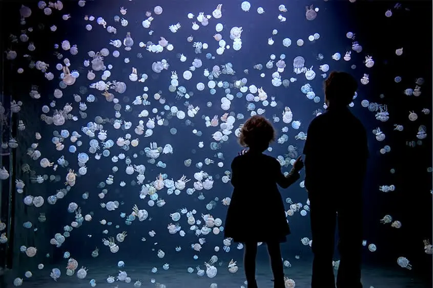 Vancouver Aquarium spring break