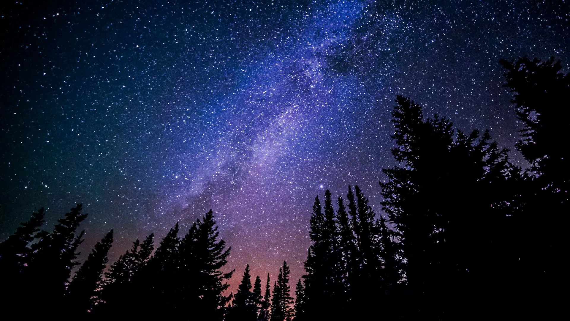 Stars in a purplish-pink night sky with trees in the foreground
