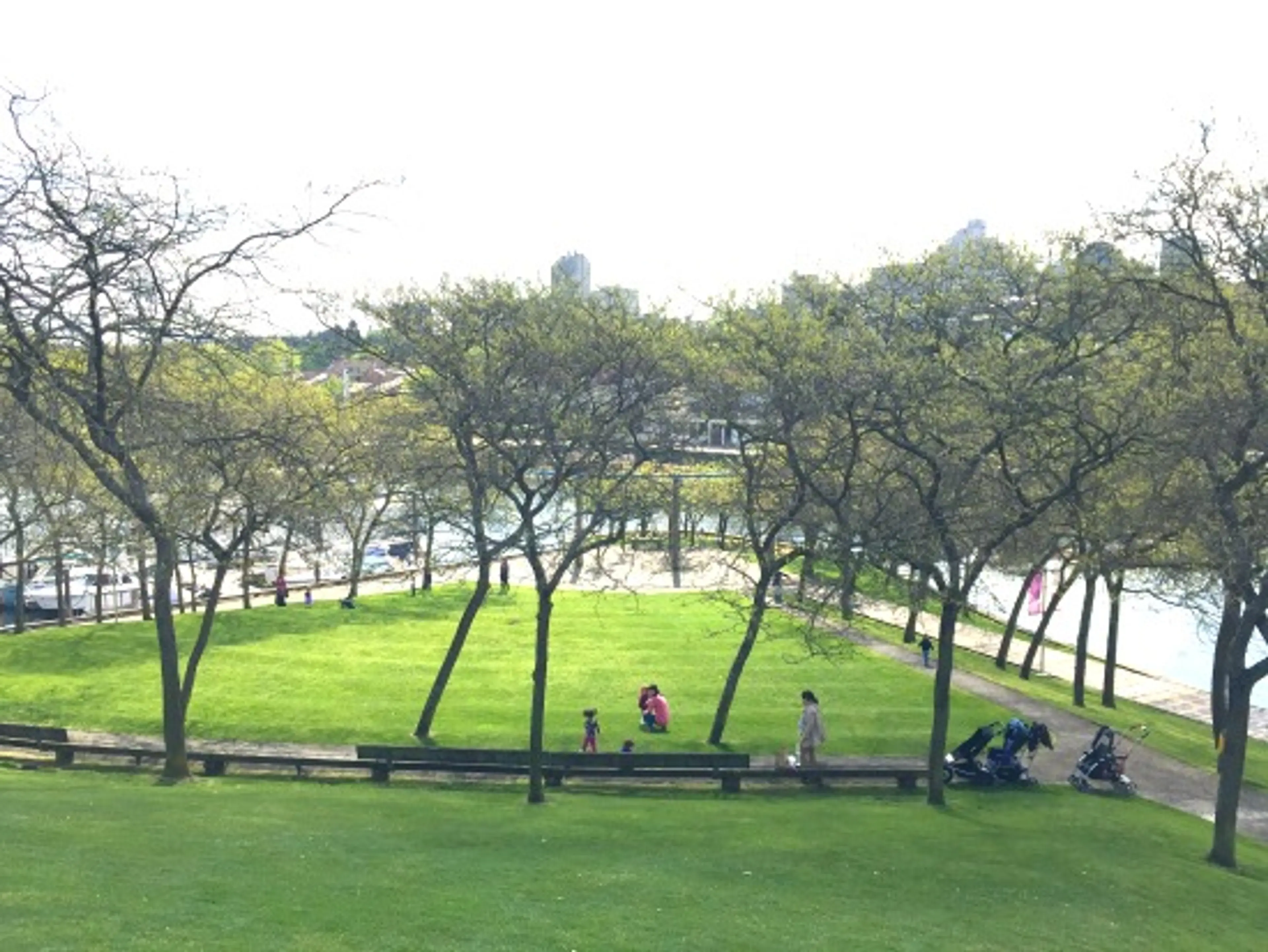Ron Basford Park | Photo: Bianca Bujan