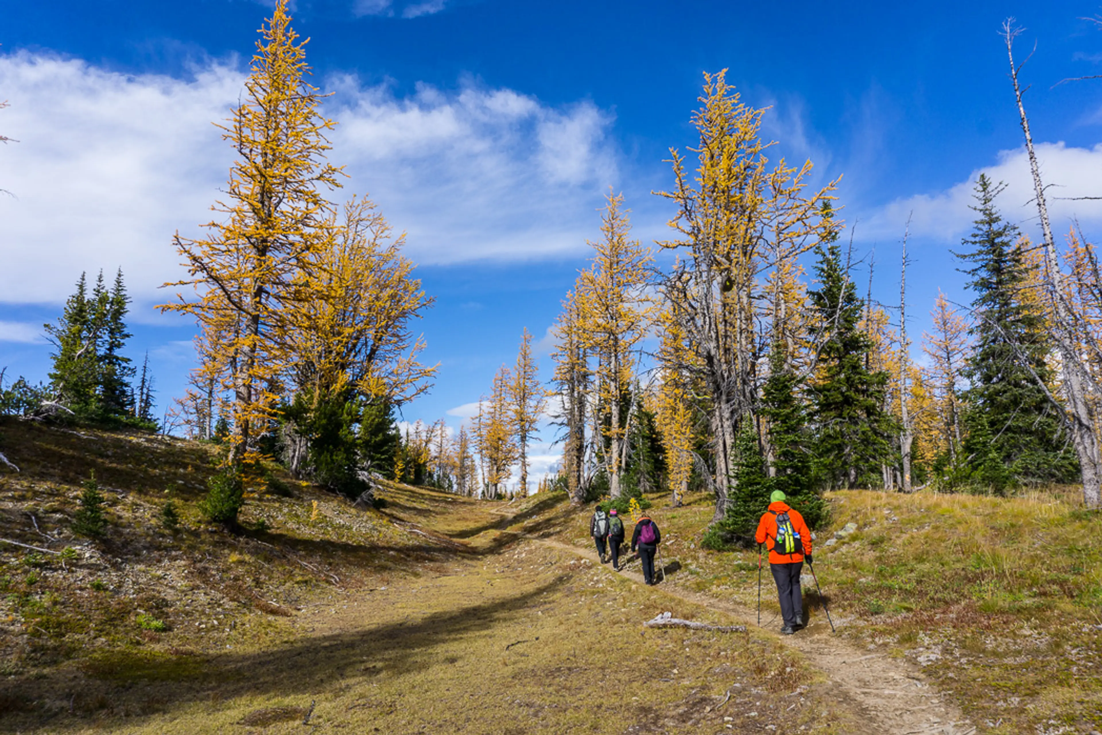7 Gorgeous Vancouver Hikes for Fall Colours