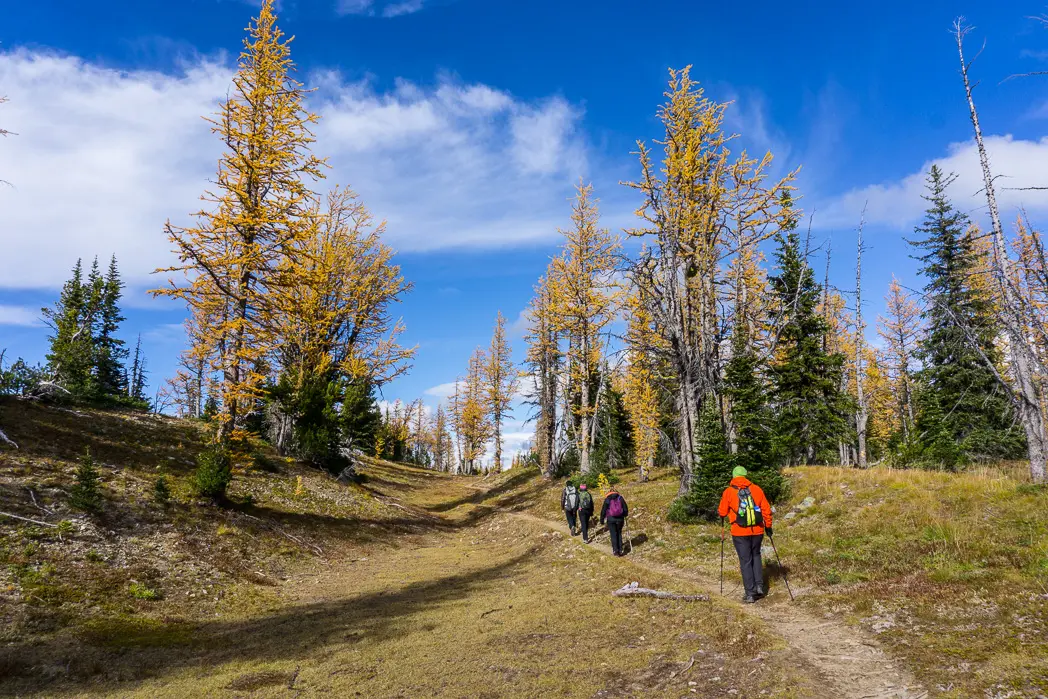 7 Gorgeous Vancouver Hikes for Fall Colours
