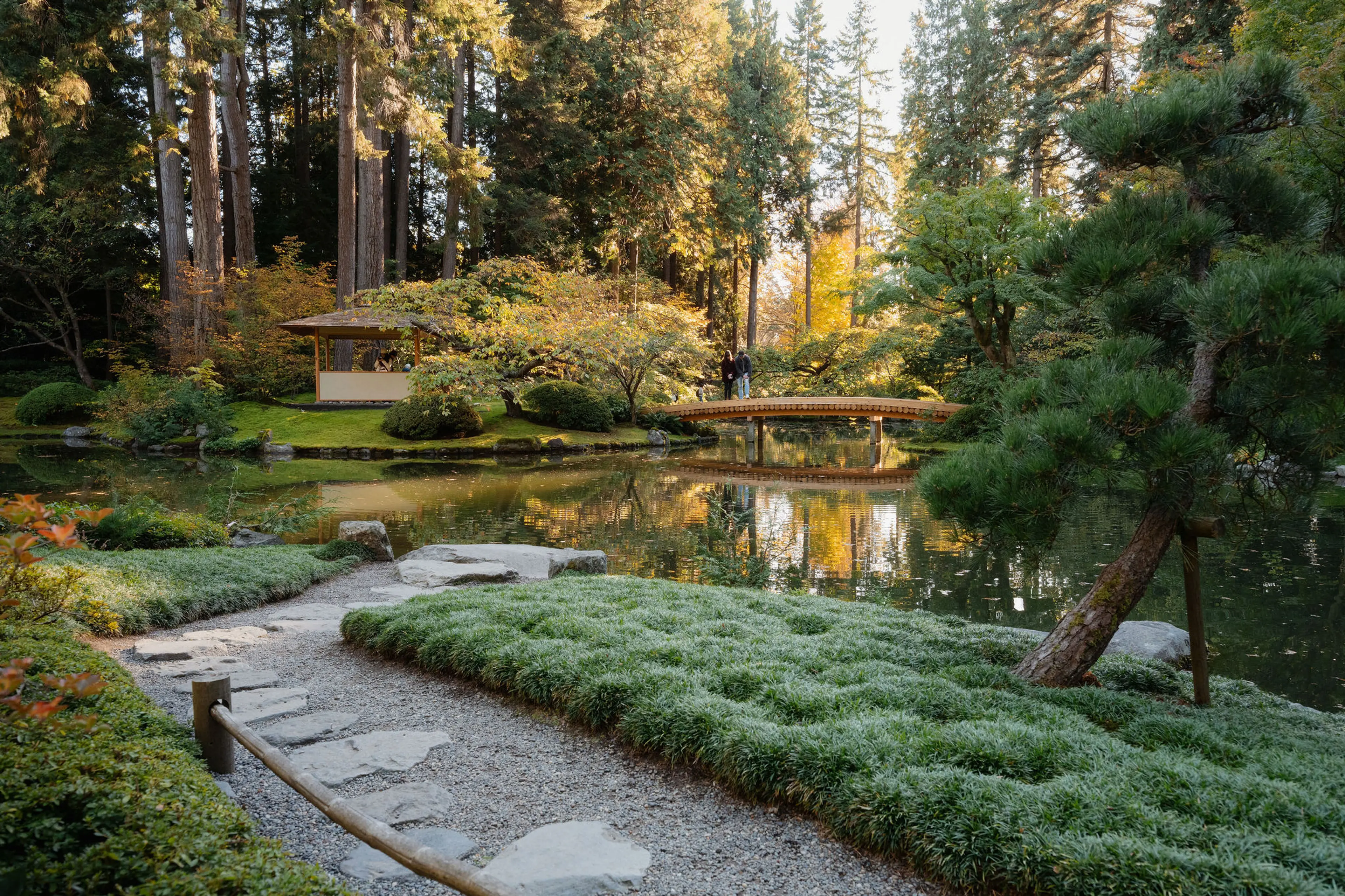 A serene Japanese garden with a pond, a wooden bridge, a small pavilion, and lush greenery under tall trees.