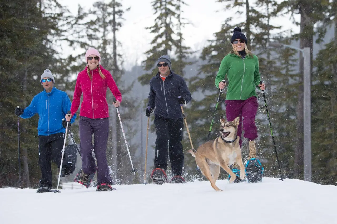 6 Dog-Friendly Winter Adventures Near Vancouver