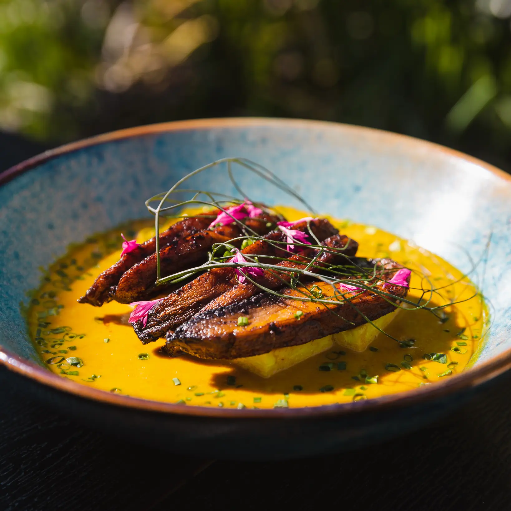 Portobello Mushroom in the sunshine