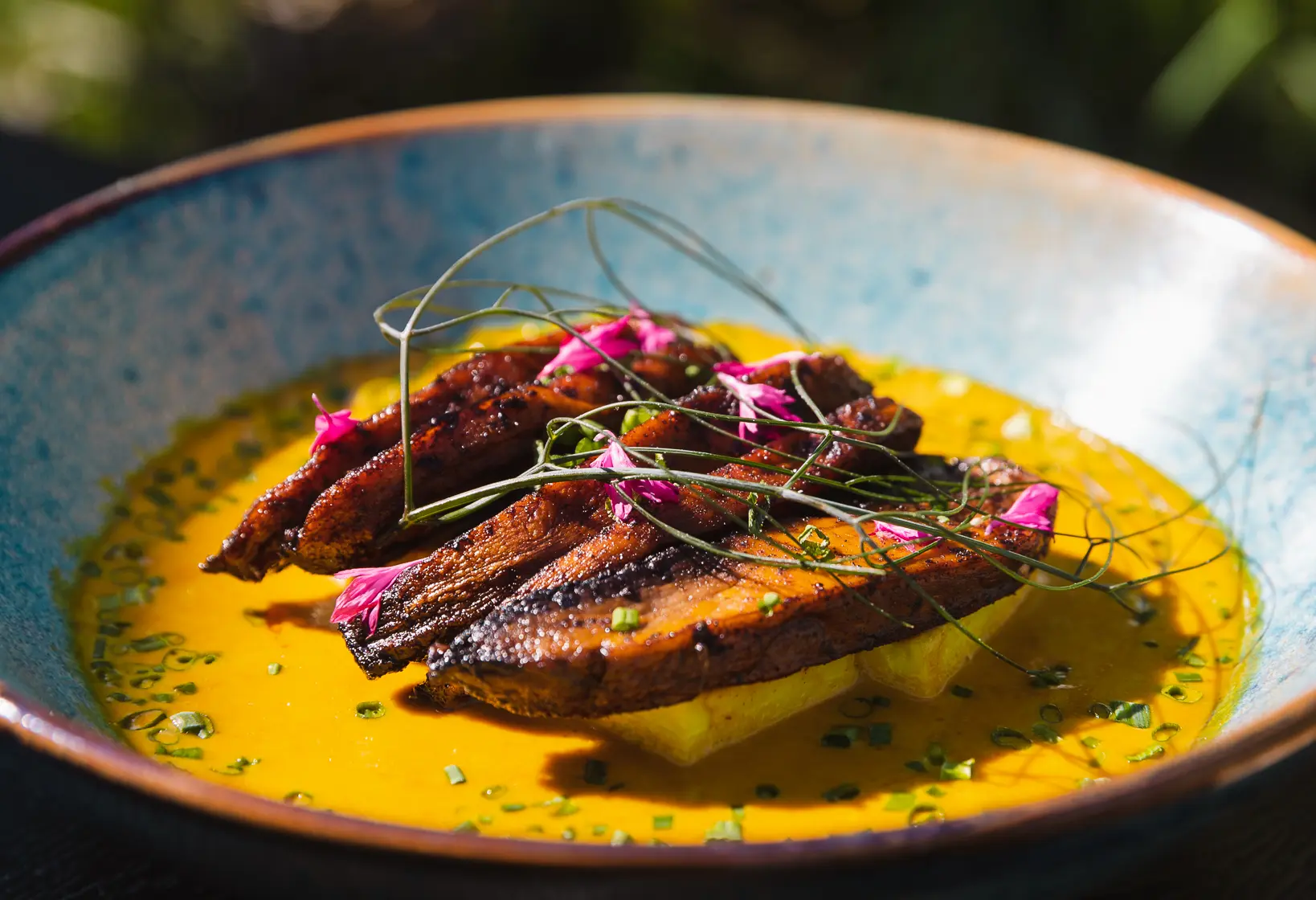 Portobello Mushroom in the sunshine