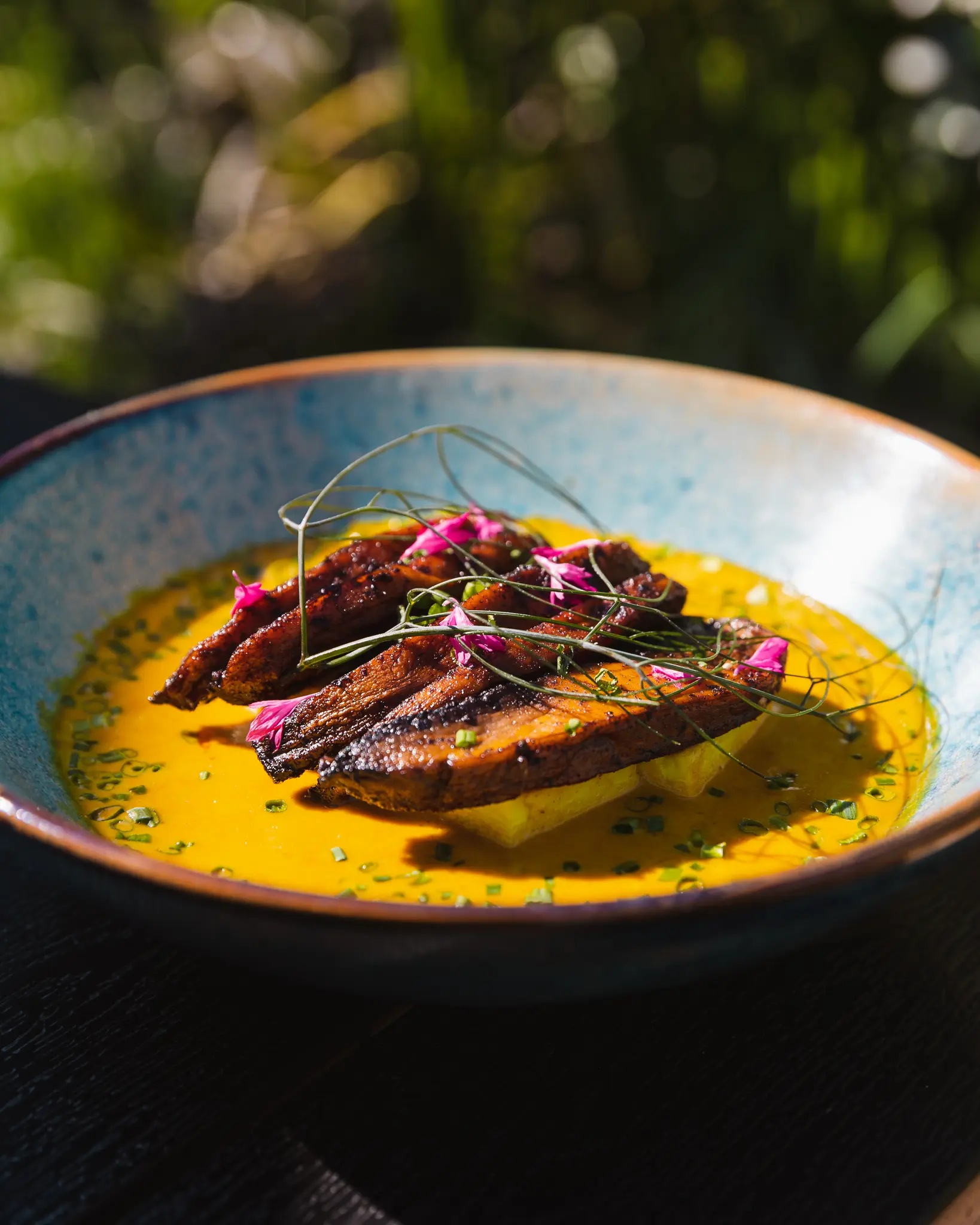 Portobello Mushroom in the sunshine