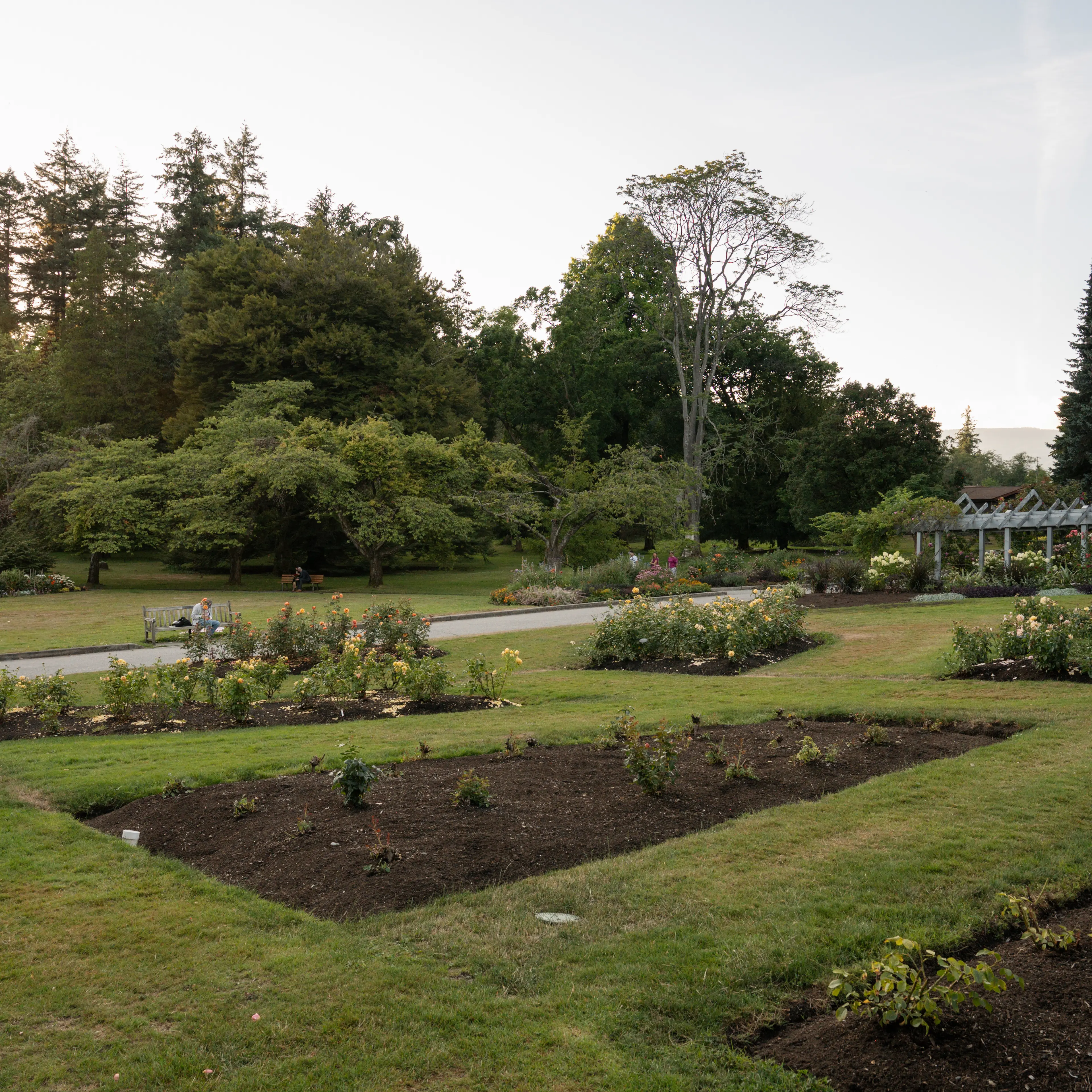 Stanley Park Rose Garden
