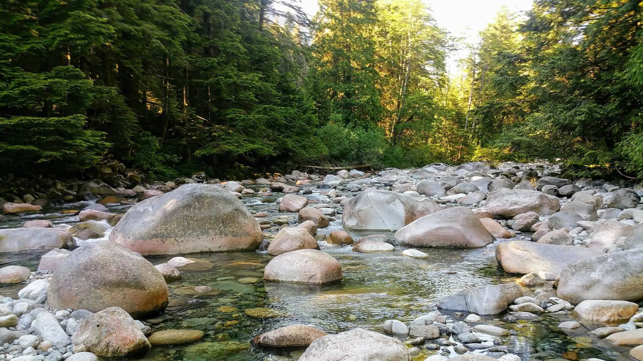 Rounded rocks in Lynn Creek in Lynn Headwaters Regional Park