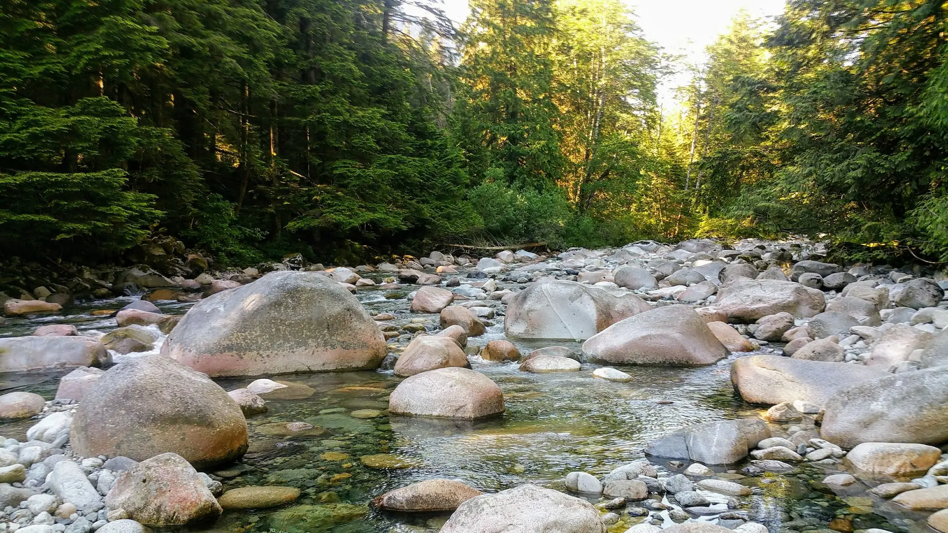 Rounded rocks in Lynn Creek in Lynn Headwaters Regional Park