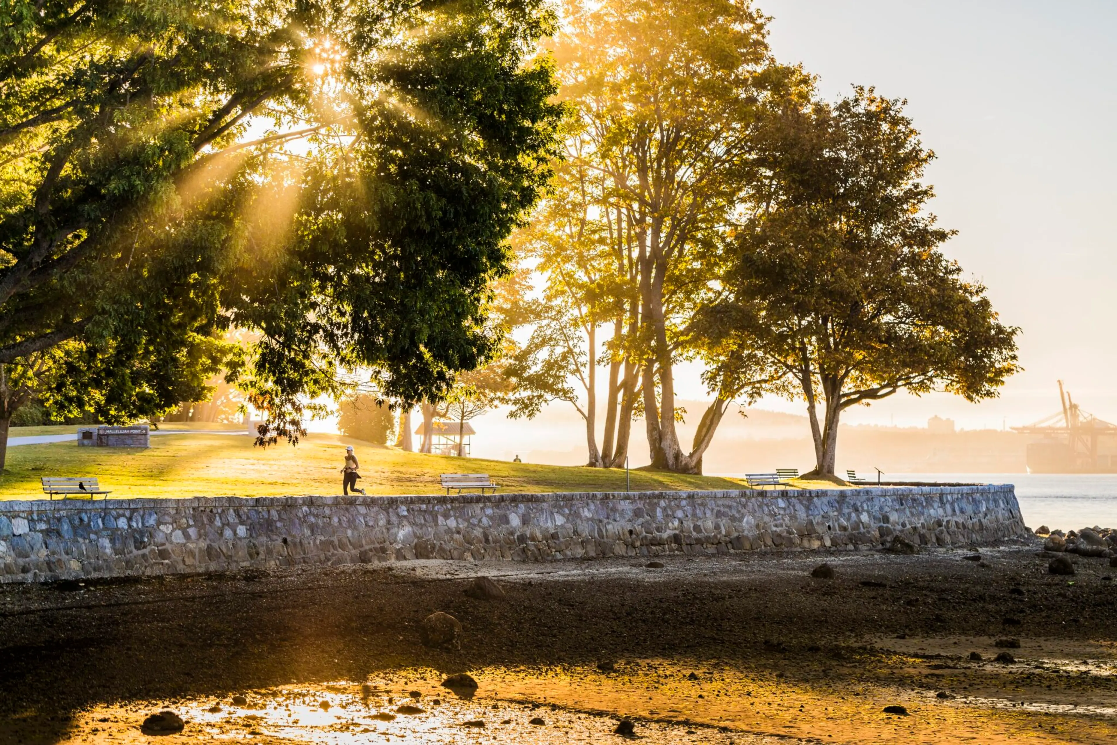 A runner on the Stanley Park Seawall