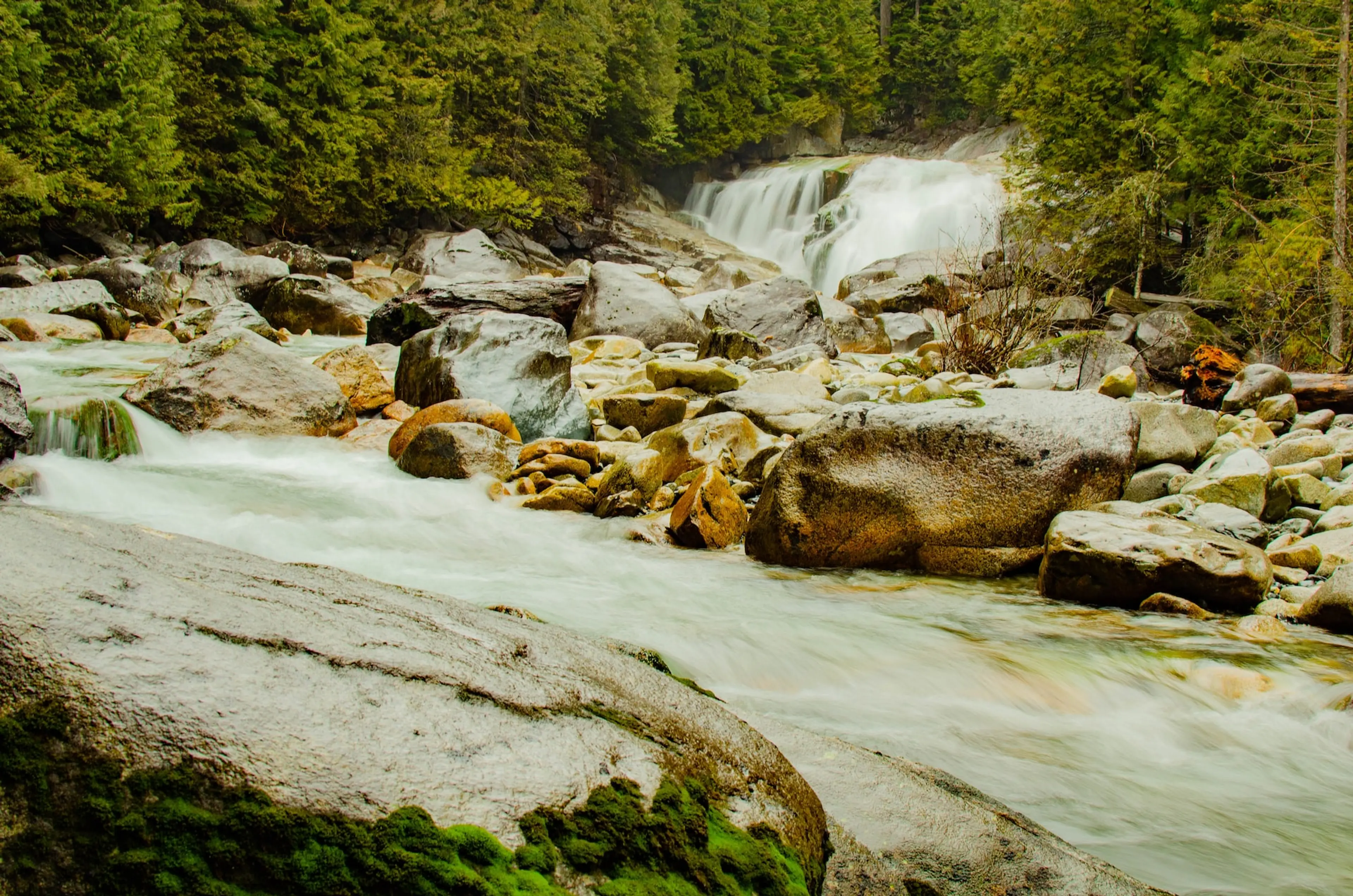 7 Ways to Get Outdoors in Maple Ridge