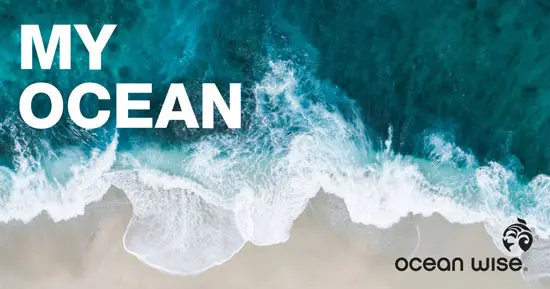 Ocean Wise Launches New Podcast About Ocean Champions