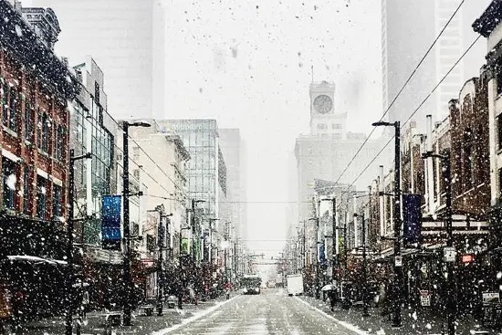 20 Ways Vancouverites Embraced The First Snowfall of Winter  2016