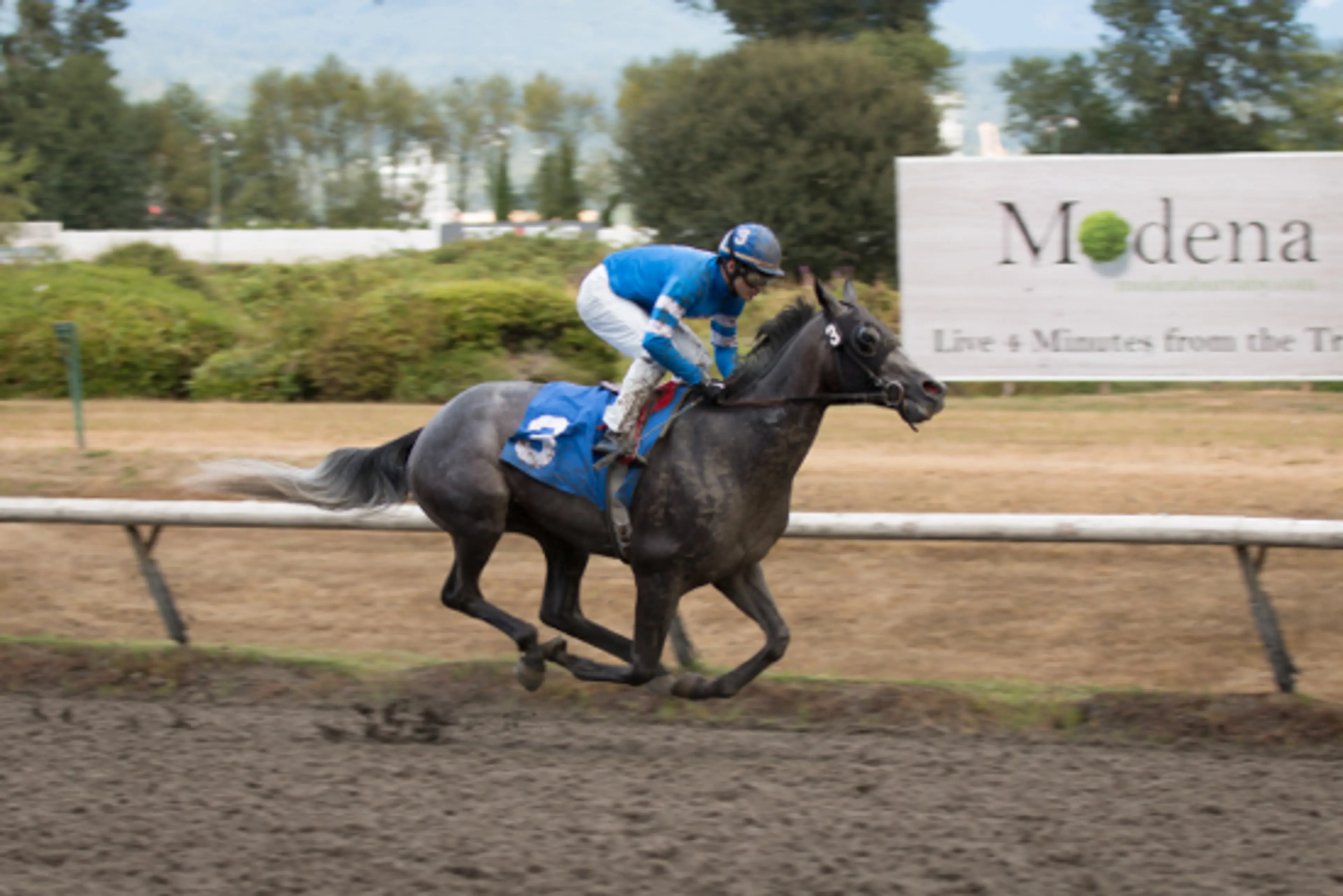 Photo Credit: Zook-It Photography