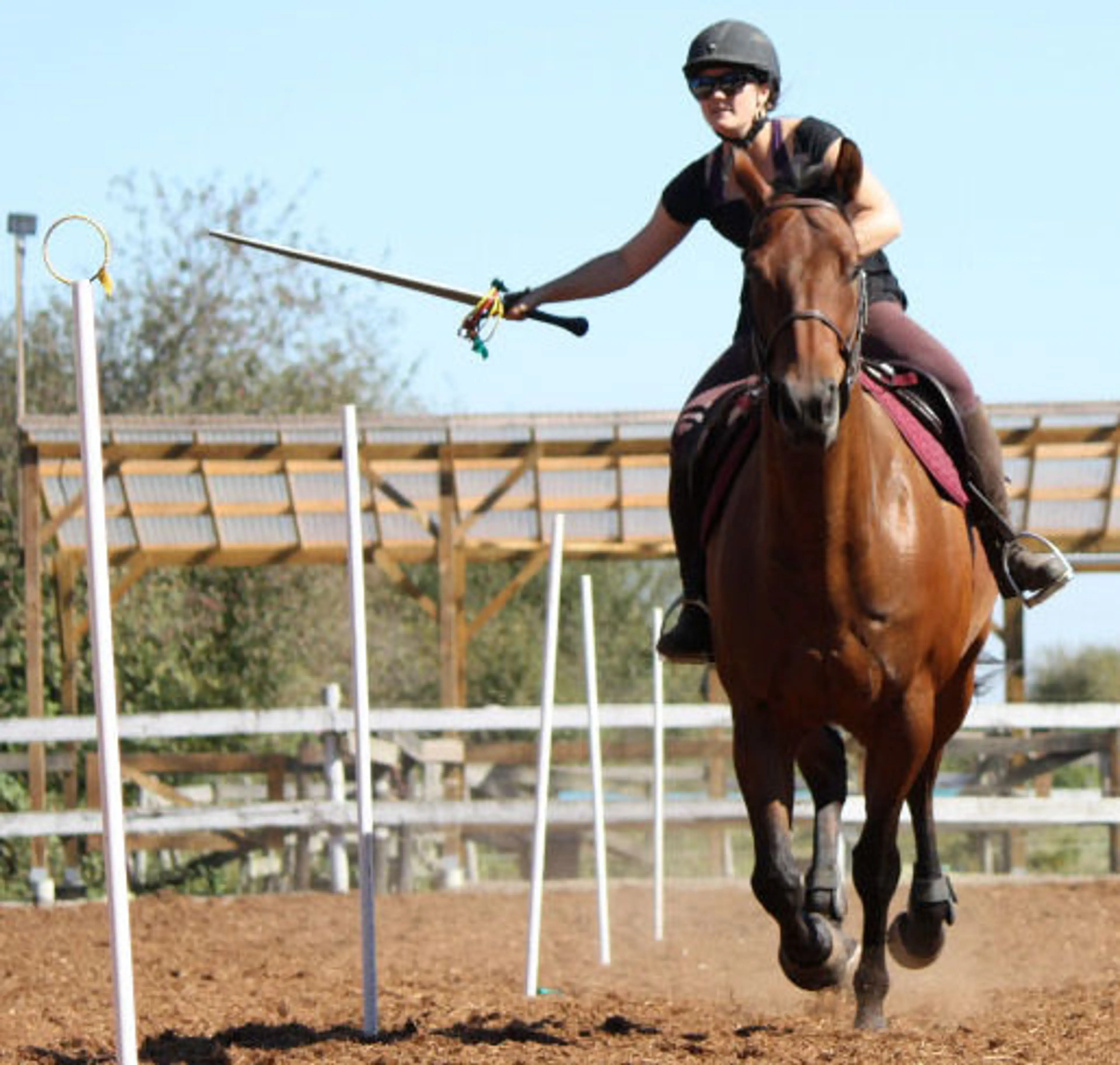 Horseback Swordfighting