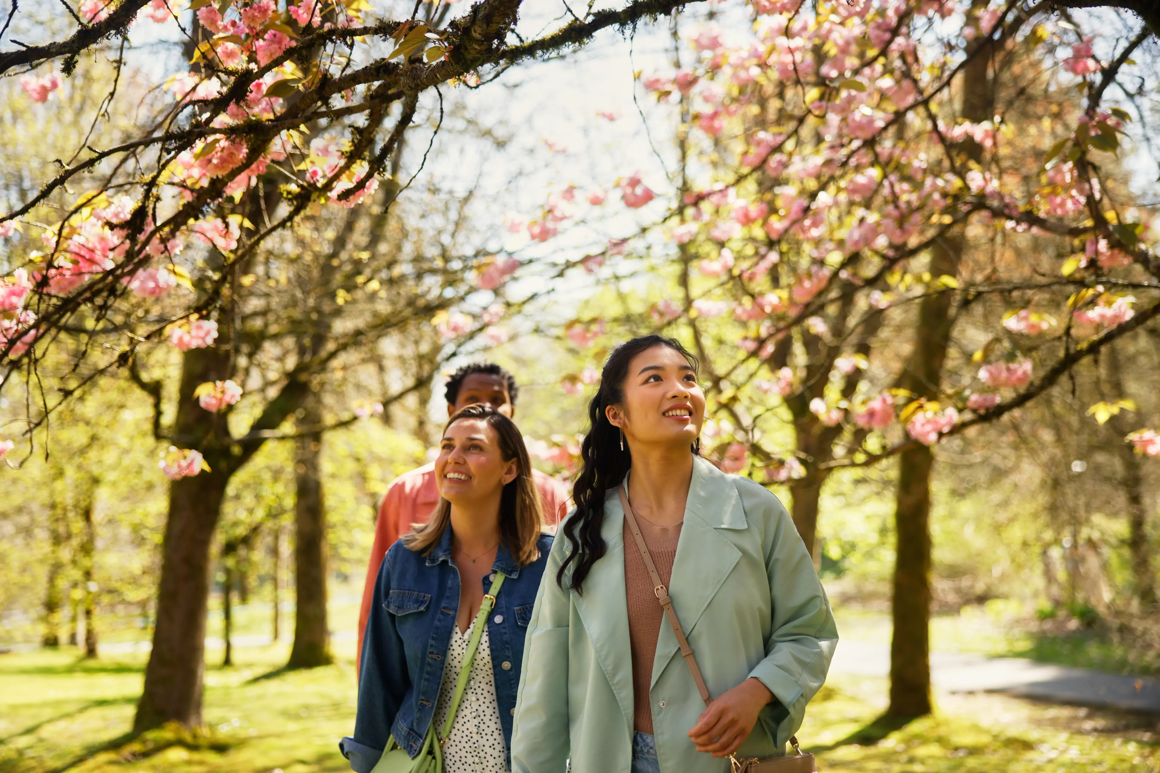 Three friends walking in the VanDusen Gardens enjoying the cherry blossoms.
