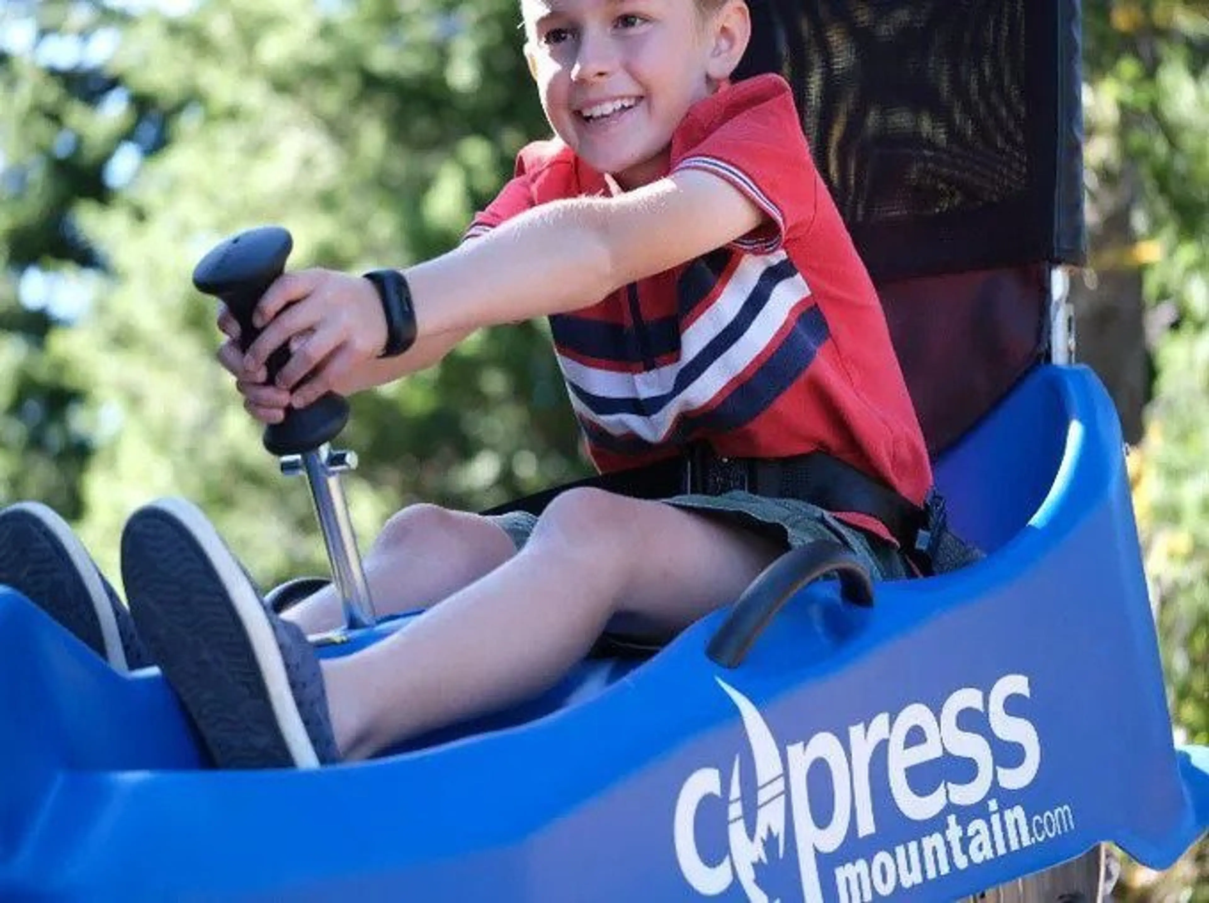 Eagle Coaster cart