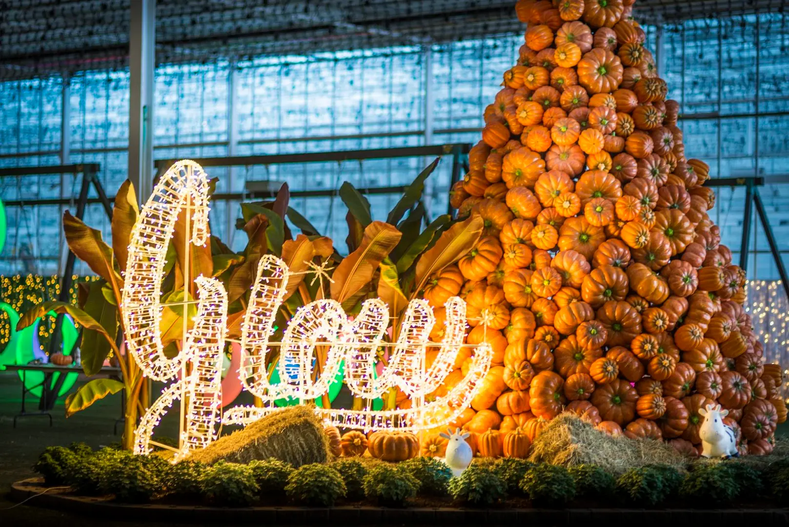 Harvest Glow Fall Festival Boasts Millions of Twinkling Lights and a Pumpkin Patch too!