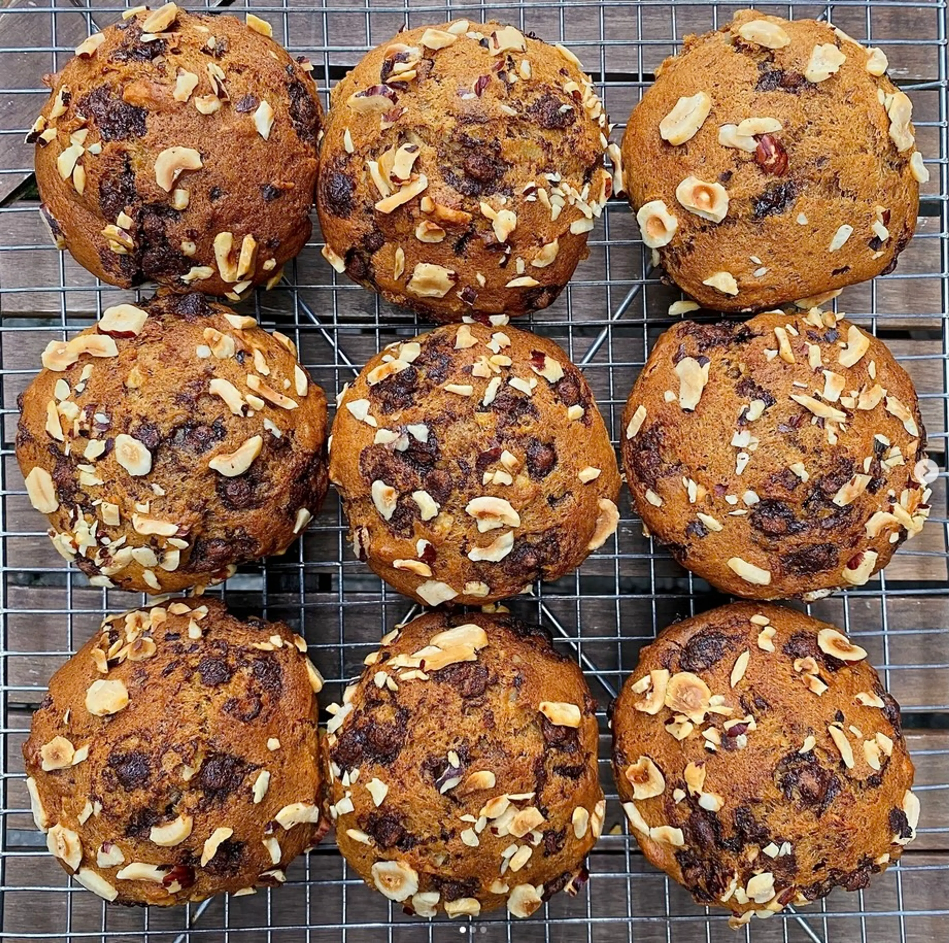 An overhead shot of pumpkin chocolate muffins on a cooling rack at Elysian Coffee