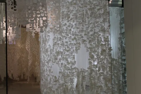 Photo Credit: Tara Lee