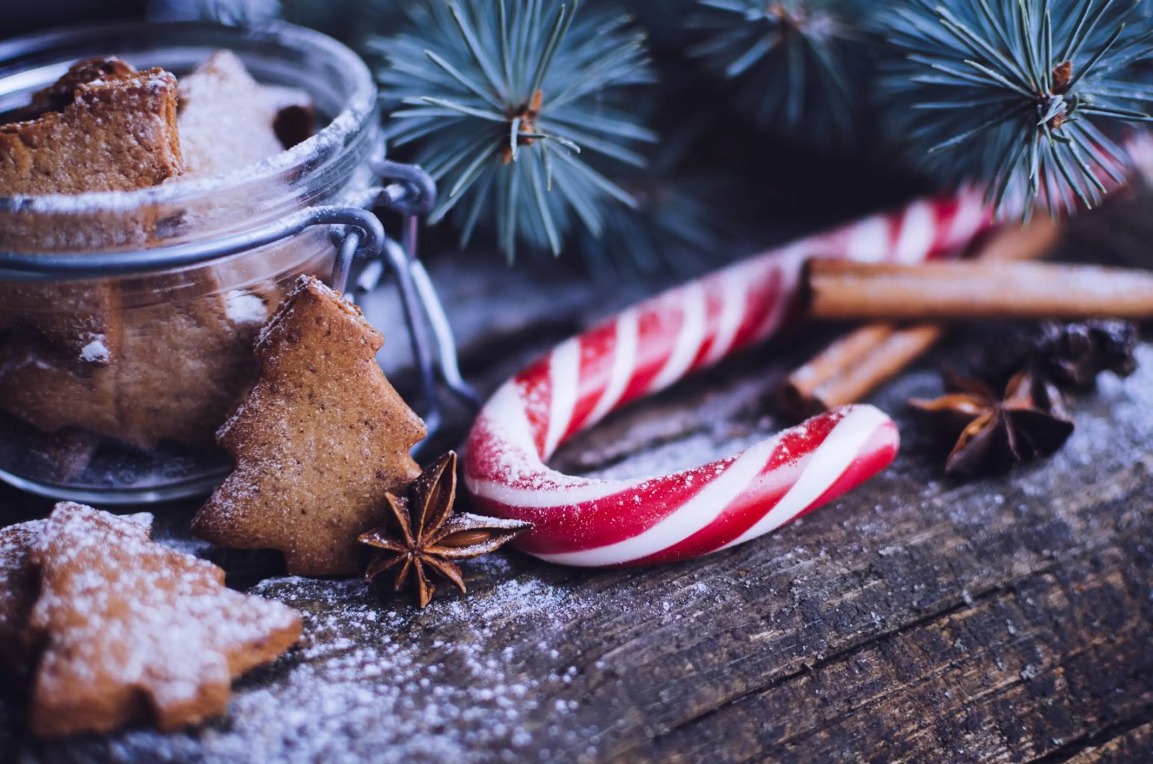 Get Festive: 8 Unique to Vancouver Christmas Season Activities