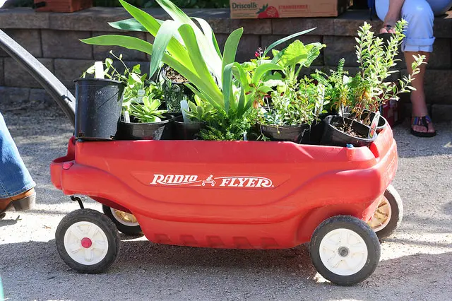 Van Dusen Plant Sale 2016