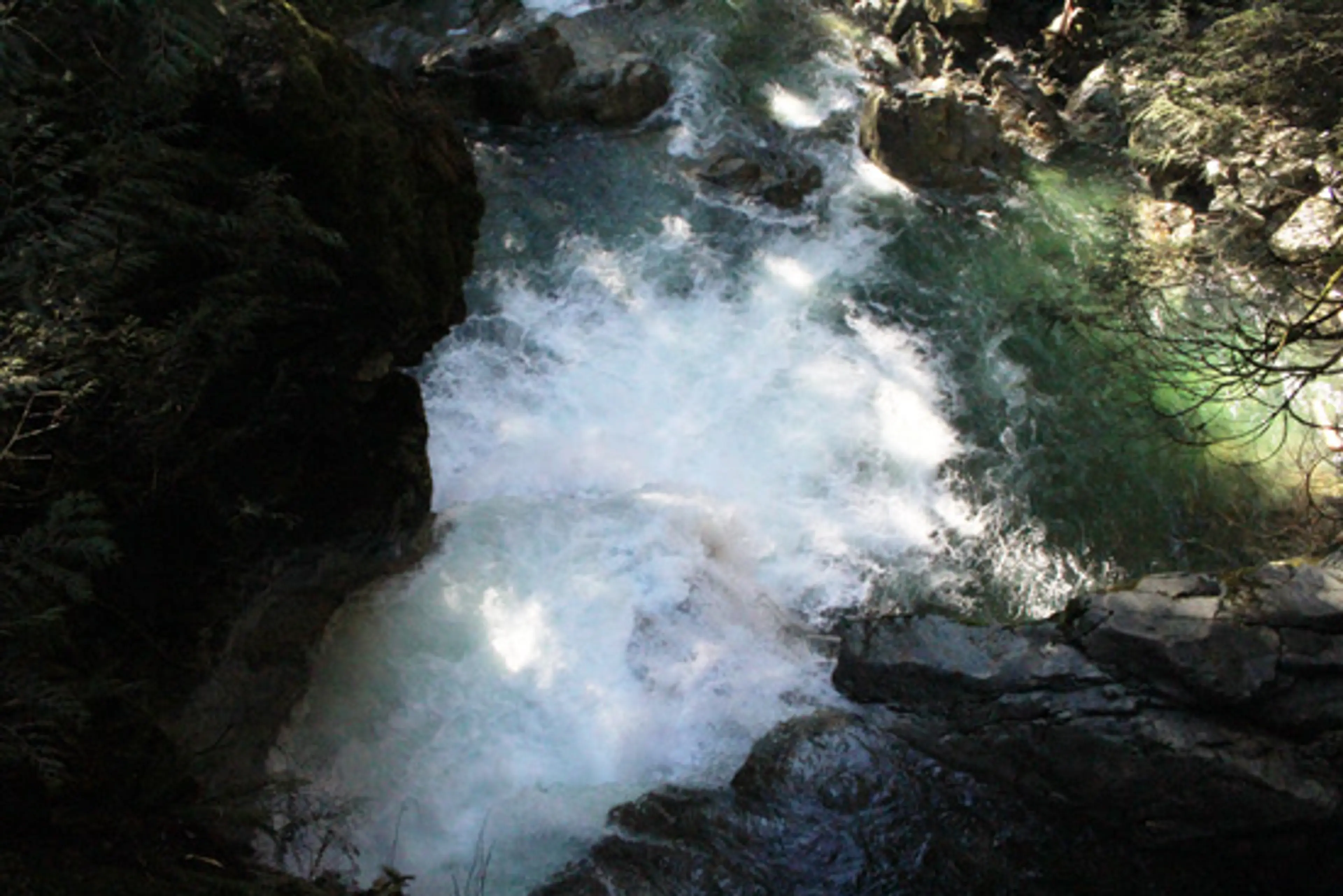 Discover-Outdoors-Lynn-Canyon7