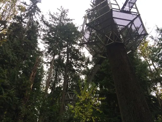 Photo Credit: Tara Lee