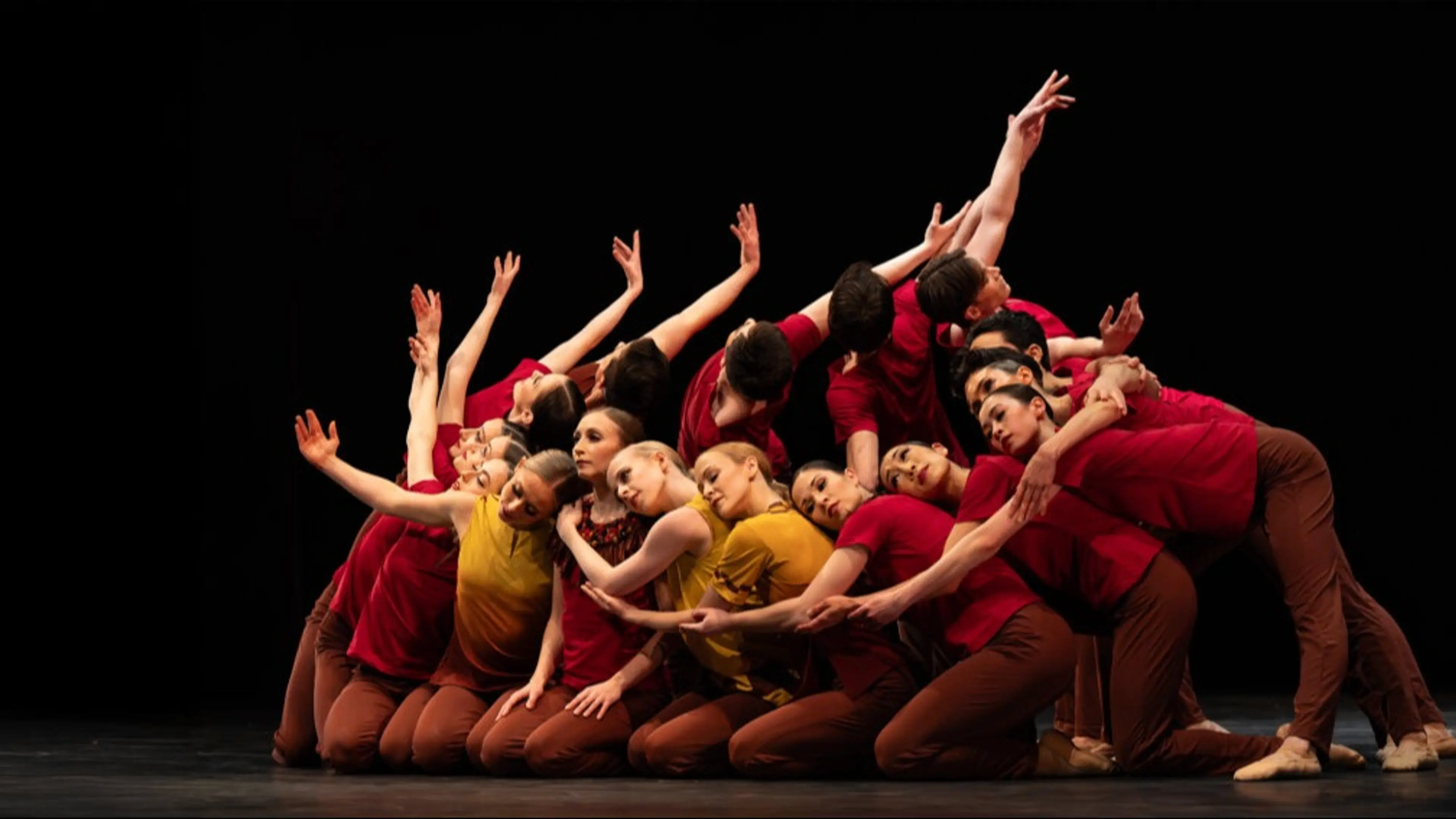 w-1008h-567-4e3368-M_2526_WildMan-Update_Hero_2000x1108-1024x567