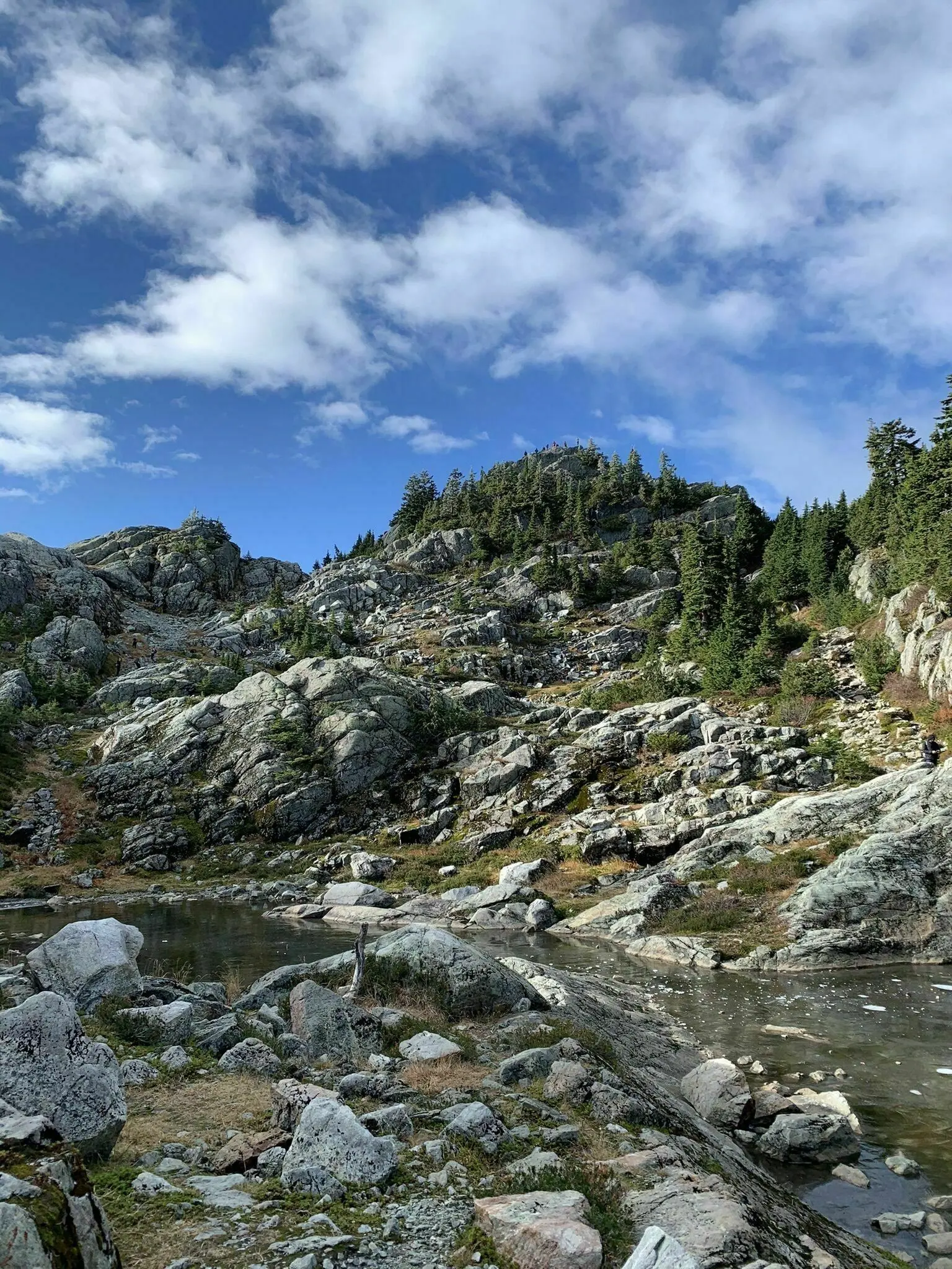 Mount Seymour trail