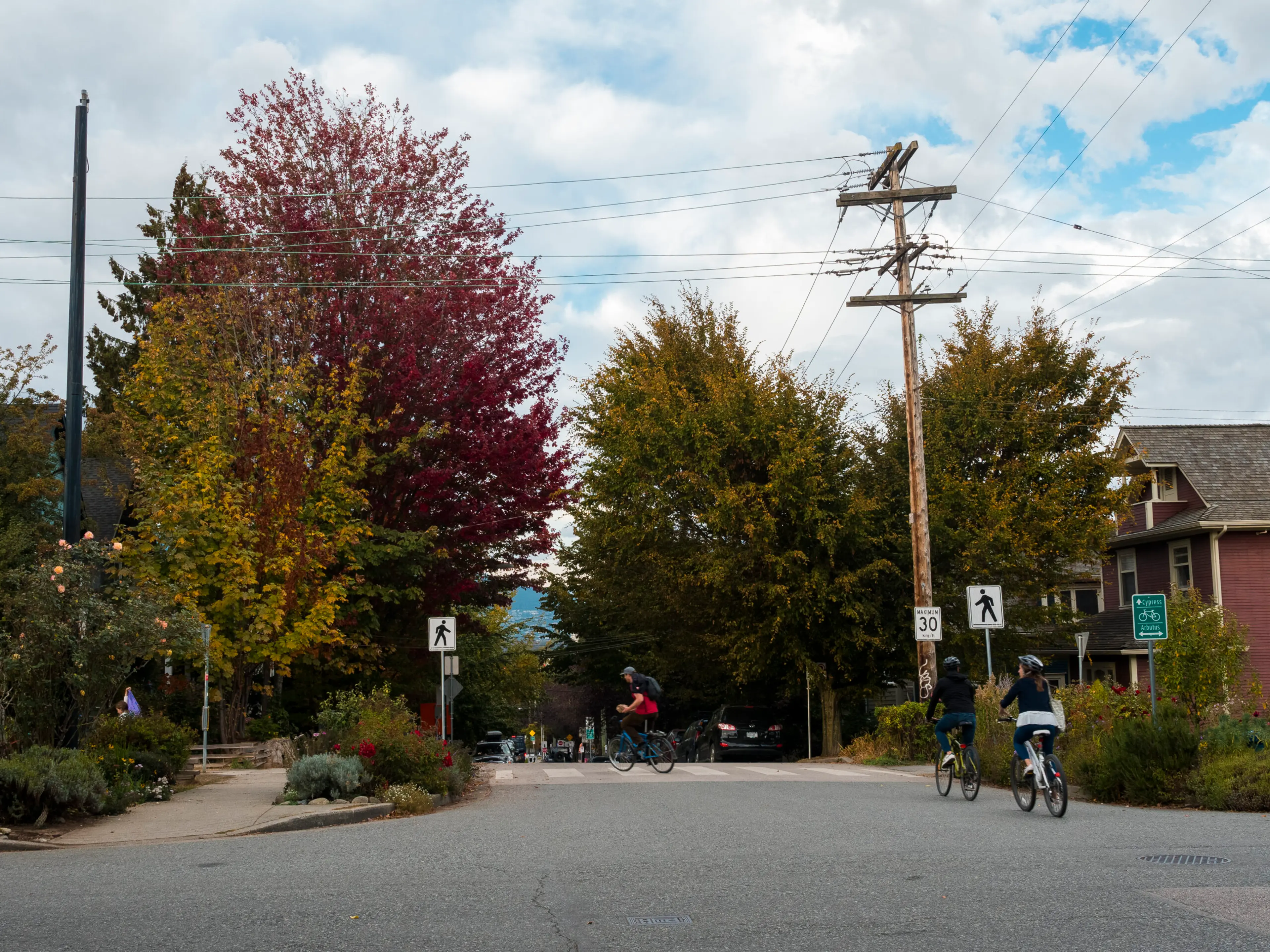 Vancouver’s Urban Forest Strategy: Keeping the City’s Trees Beautiful and Resilient