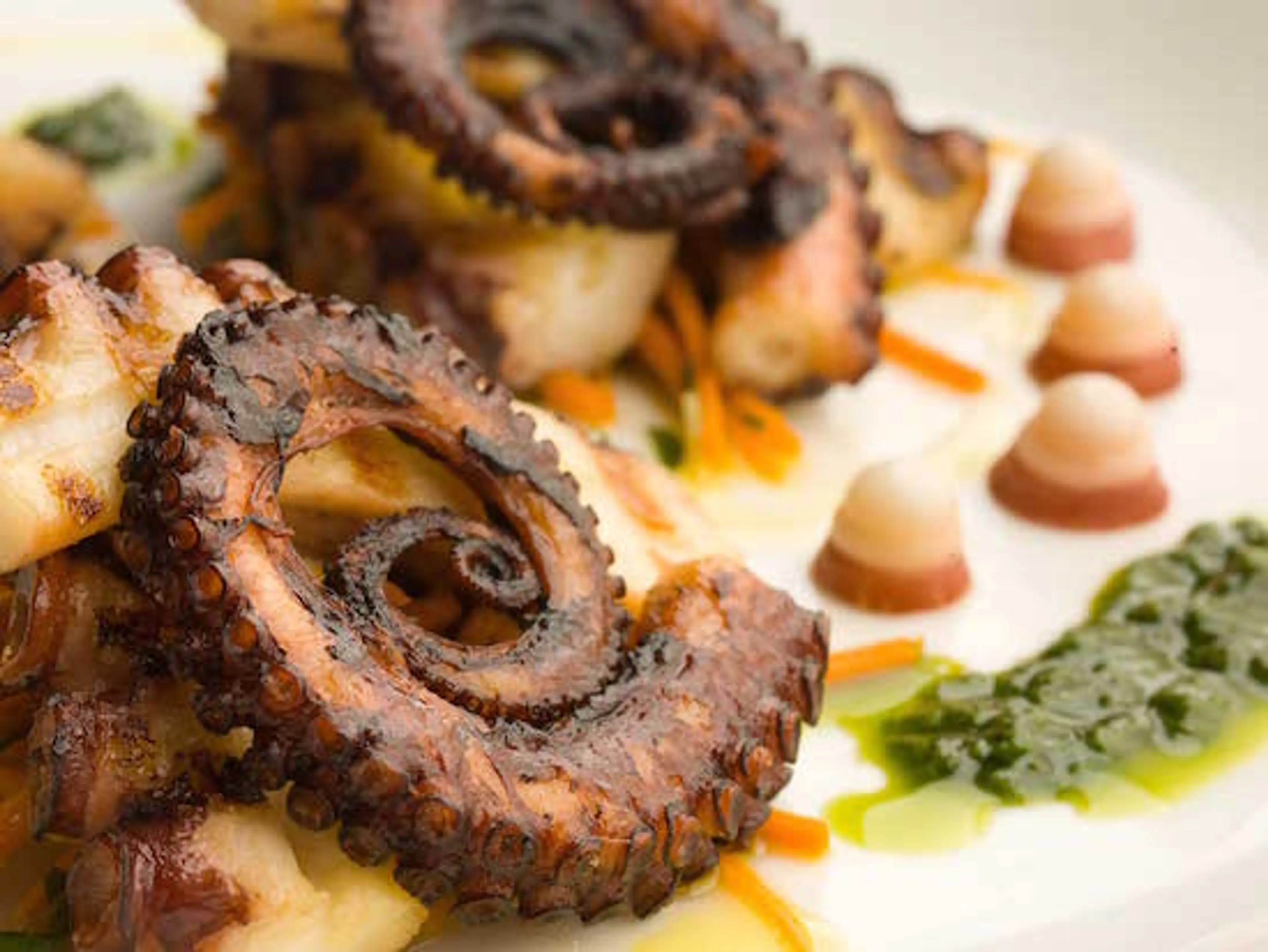 Unique Vancouver Seafood Fest Puts Snails, Barnacles and Jellyfish in the Spotlight: Unsung Heroes 2016