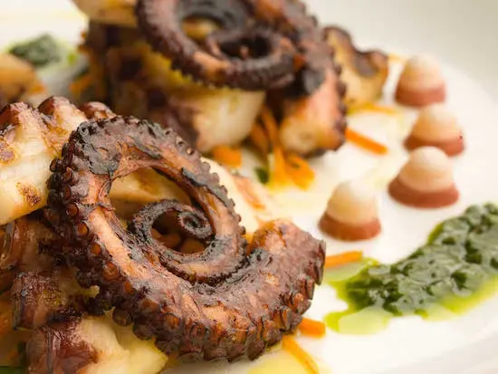 Unique Vancouver Seafood Fest Puts Snails, Barnacles and Jellyfish in the Spotlight: Unsung Heroes 2016