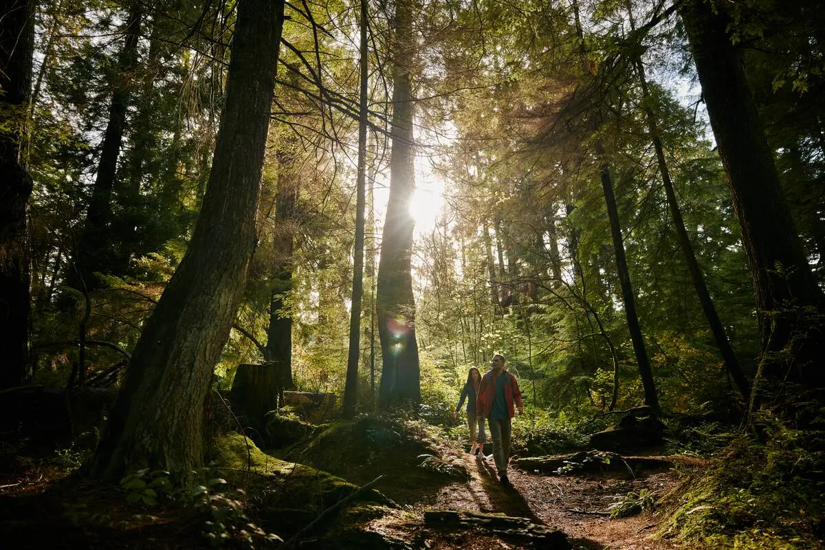 A couple trail running in Stanley Park