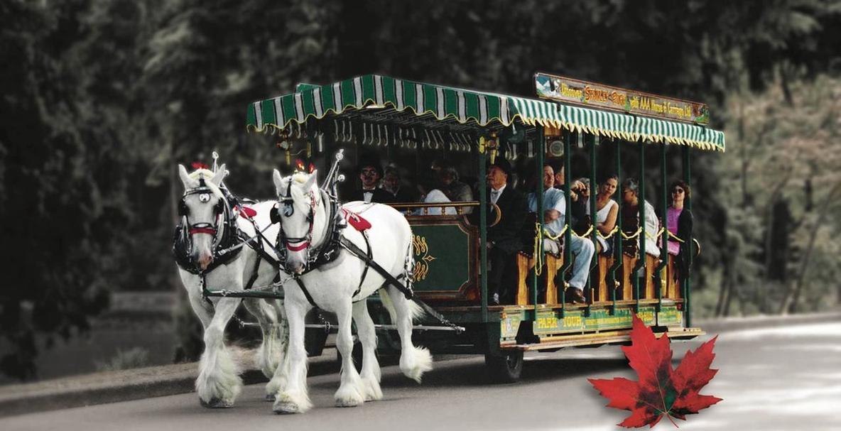 Get $150 and save up to 35% on Vancouver's top attractions!