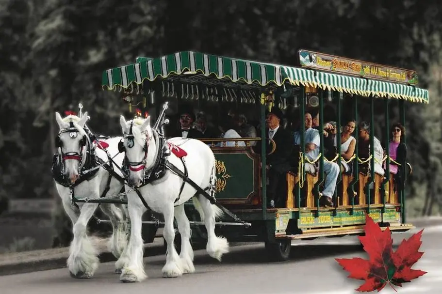 Get $150 and save up to 35% on Vancouver's top attractions!