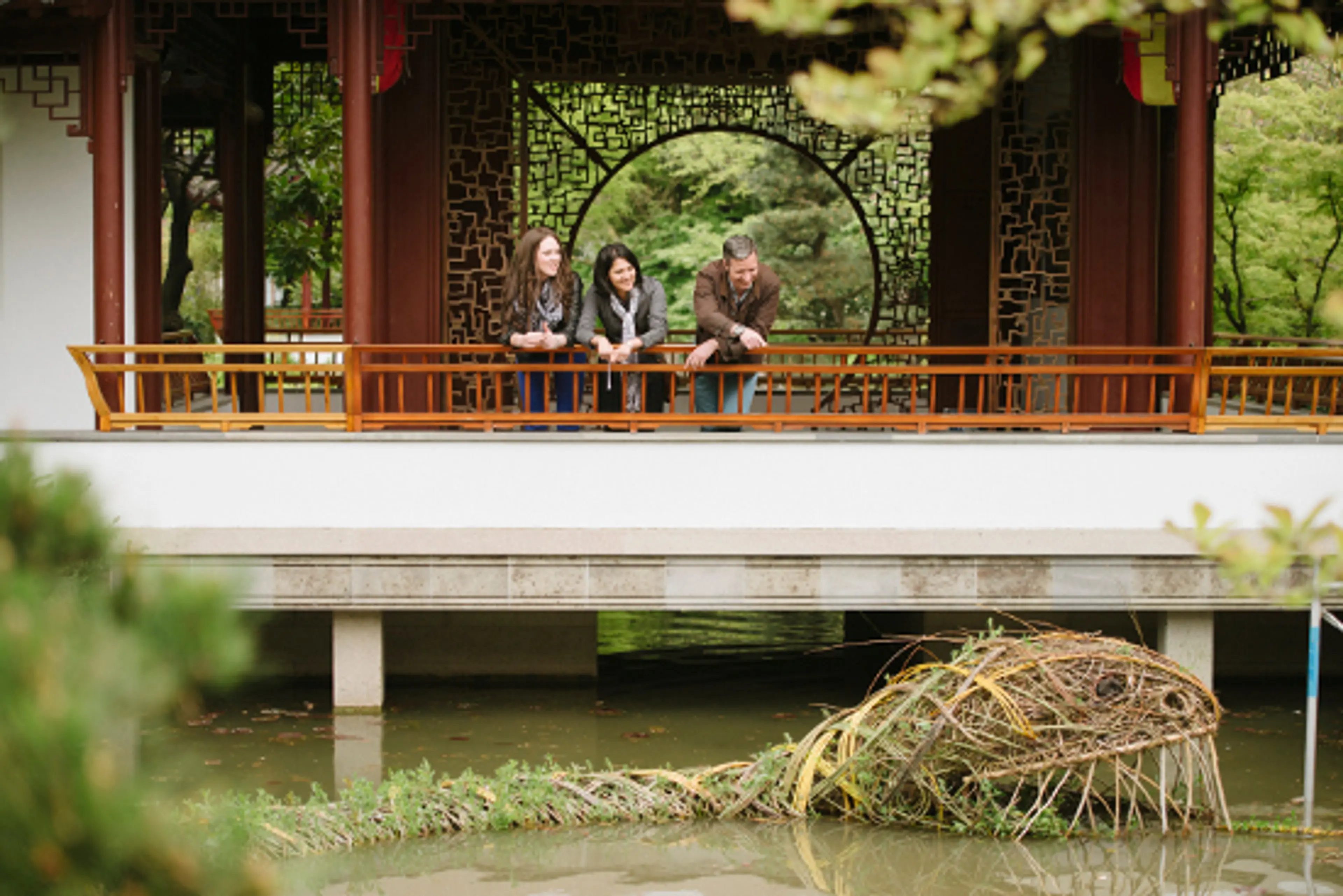 Summer Happenings at Vancouver’s Dr. Sun Yat-Sen Classical Chinese Garden