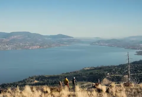 112_3_15345_jpeg_cc63661c-956d-4e1b-8a1a-ffd474304242_723EB74D-B9EA-F292-2BAF7A1988720DDF-723eb6a9d46cb3b_723ebe72-9b50-c2c7-29fd6e069e60e798