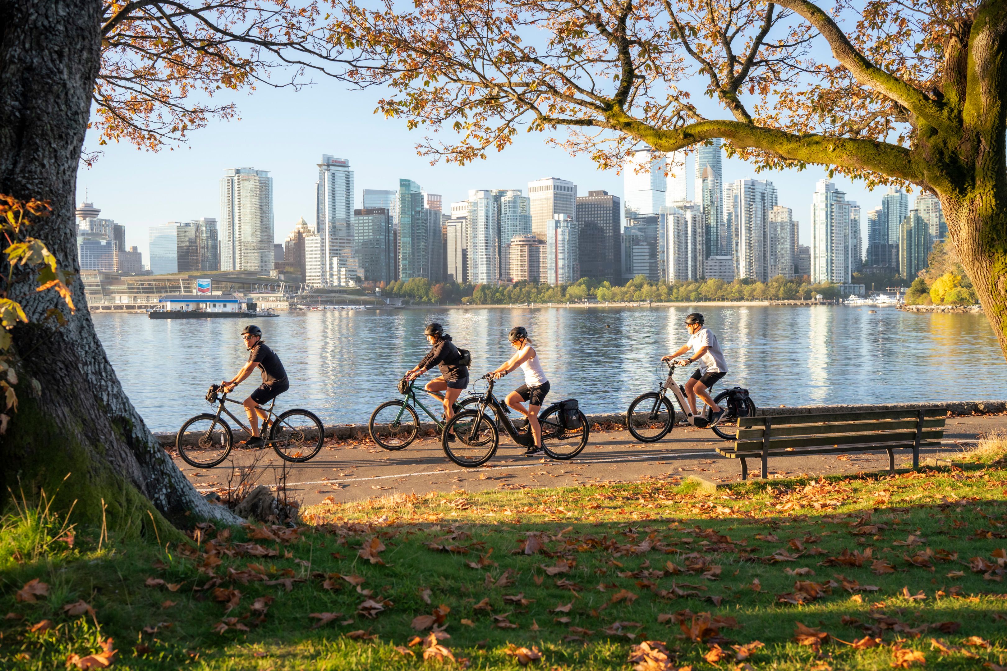 Cycling the Seawall with Cycle City