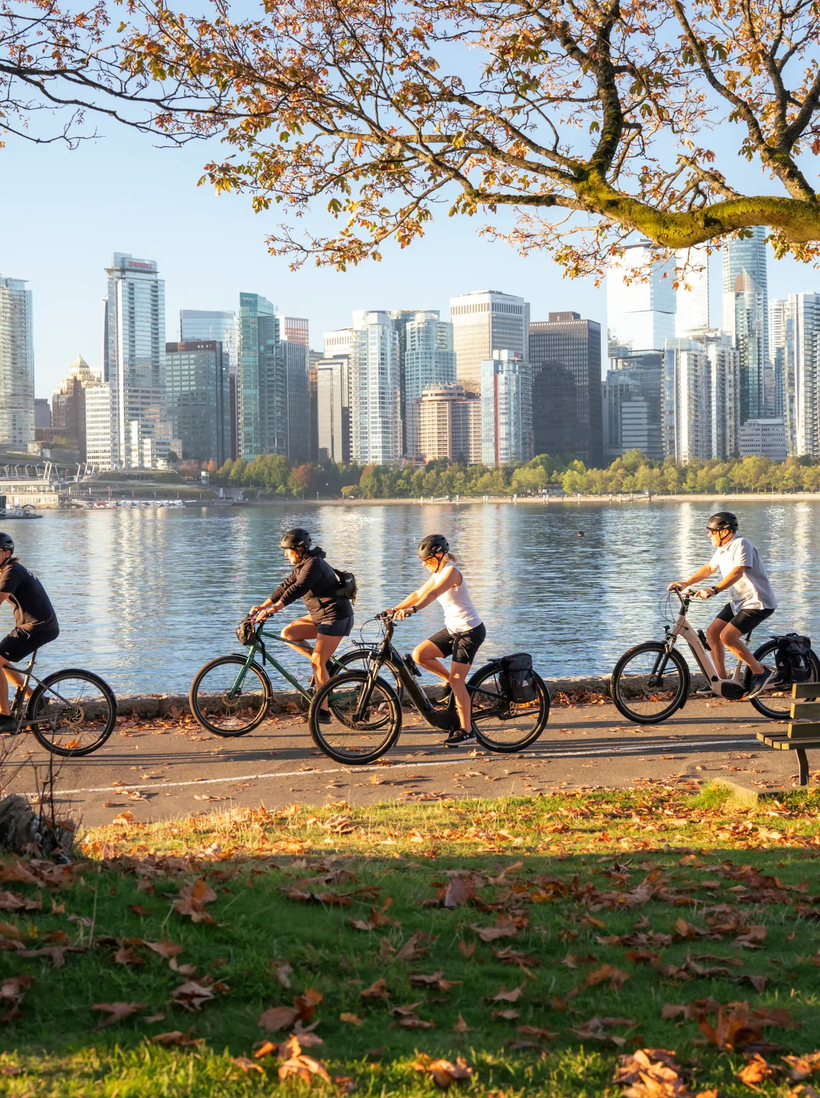 Cycling the Seawall with Cycle City
