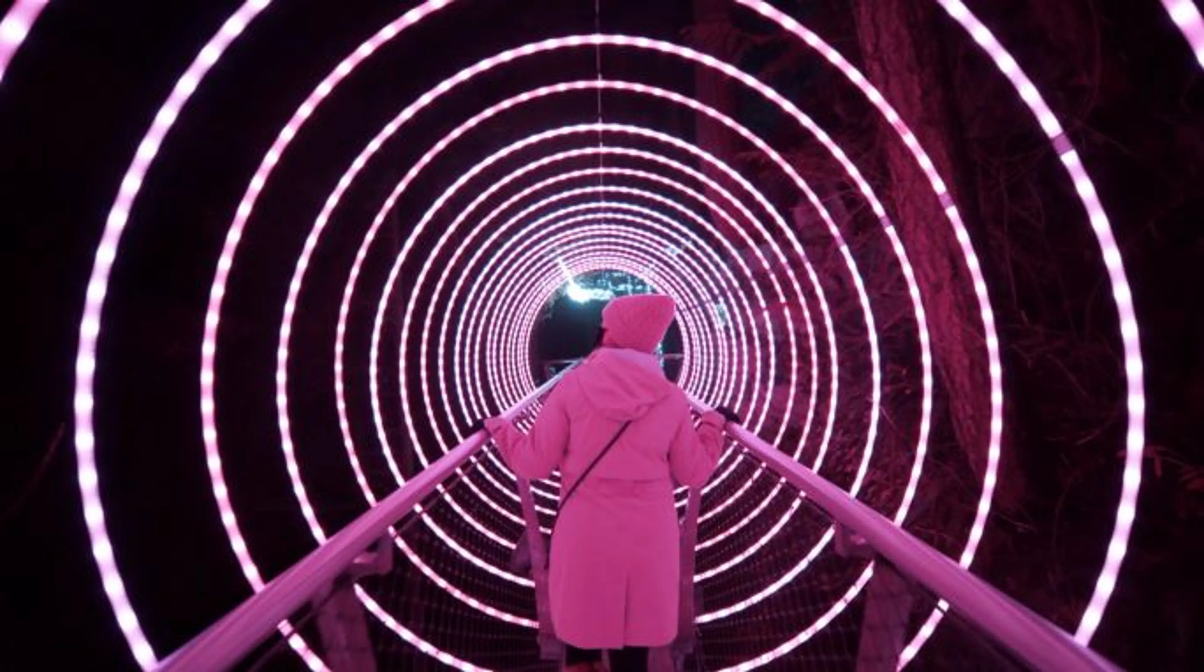 Love Lights Bring Romance to Capilano Suspension Bridge Park