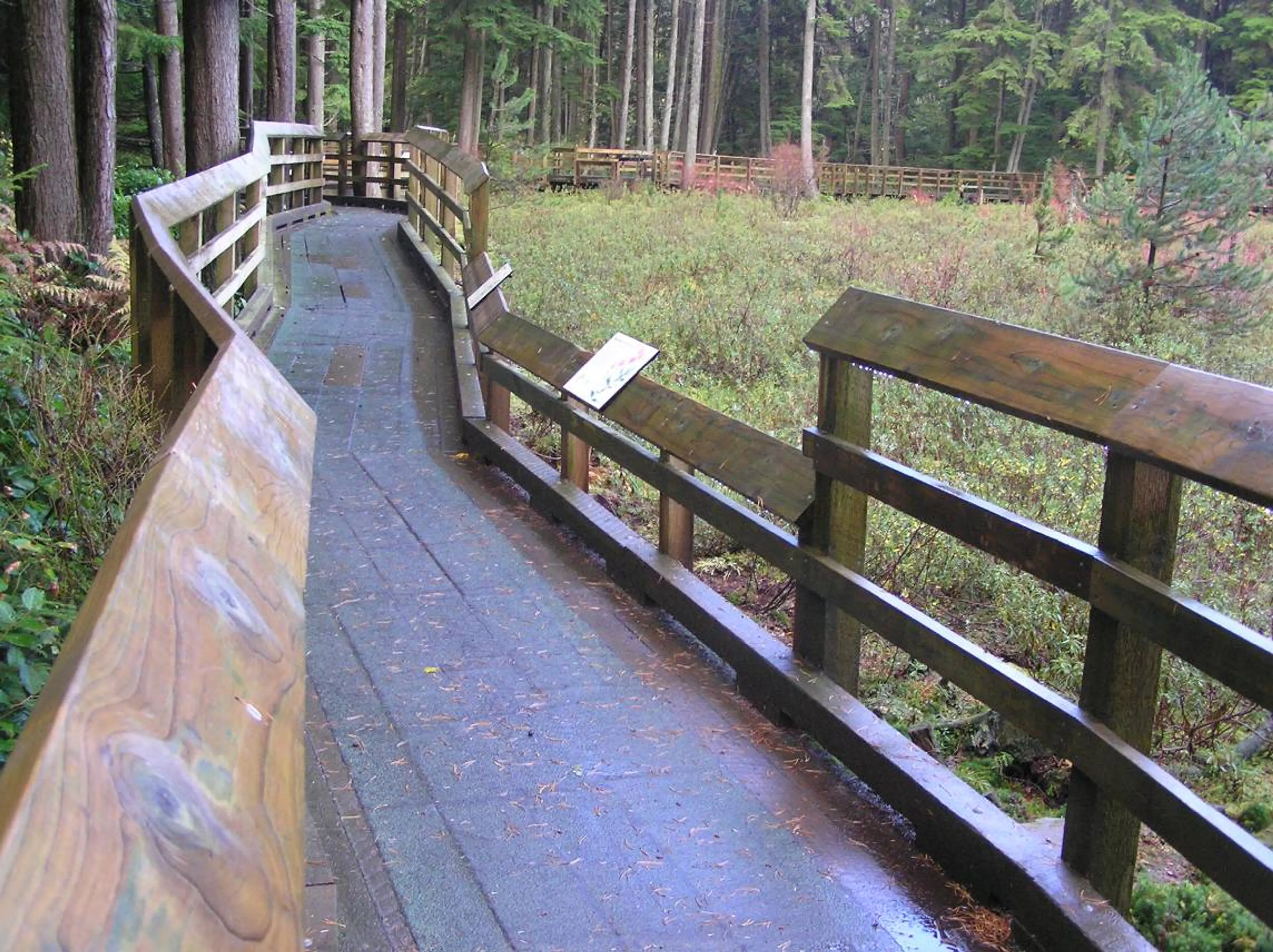 Boardwalk at Camosun Bog in Pacific Spirit Regional Park