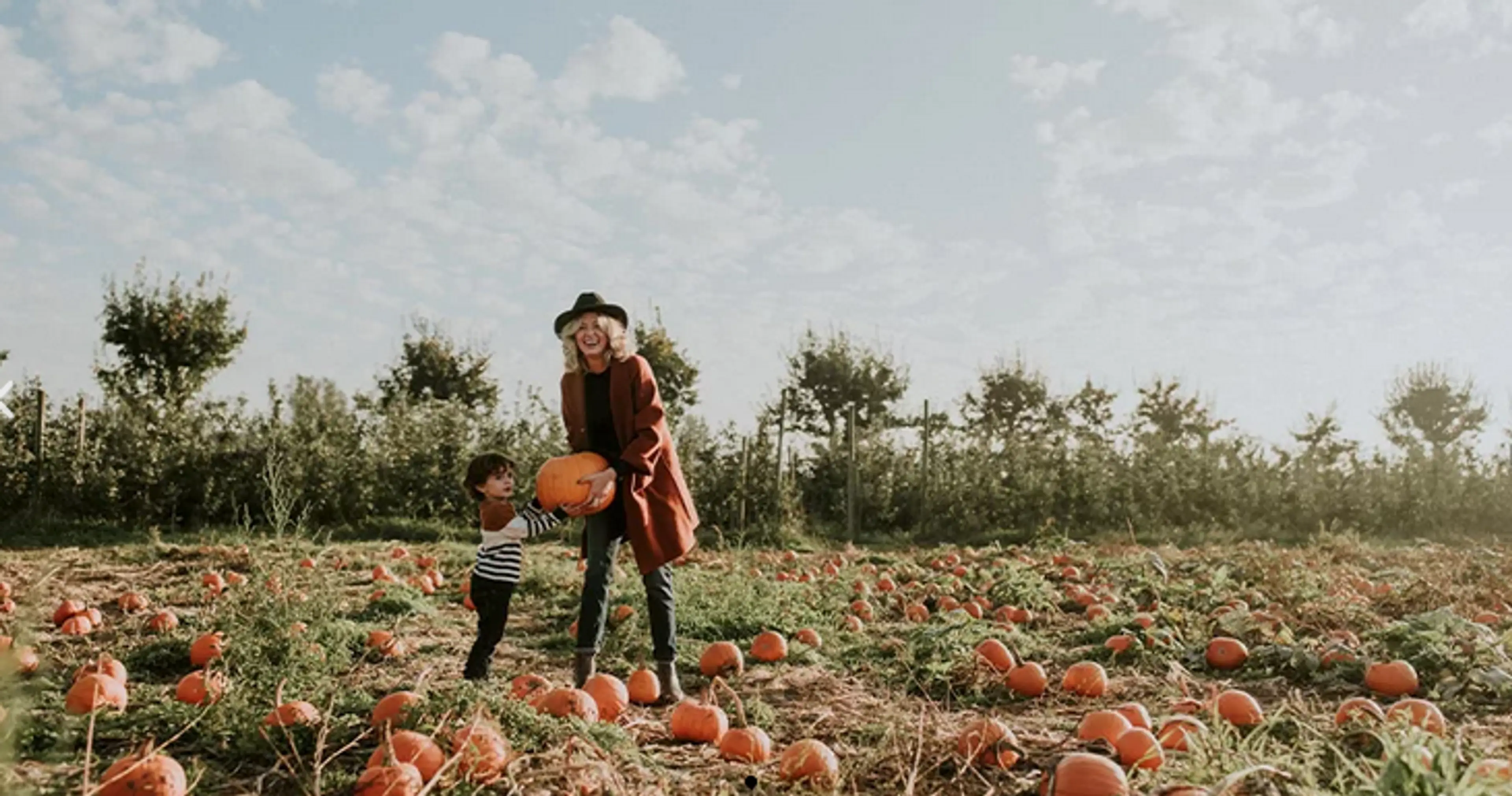 Vancouver Pumpkin Patches to Visit in Fall 2024